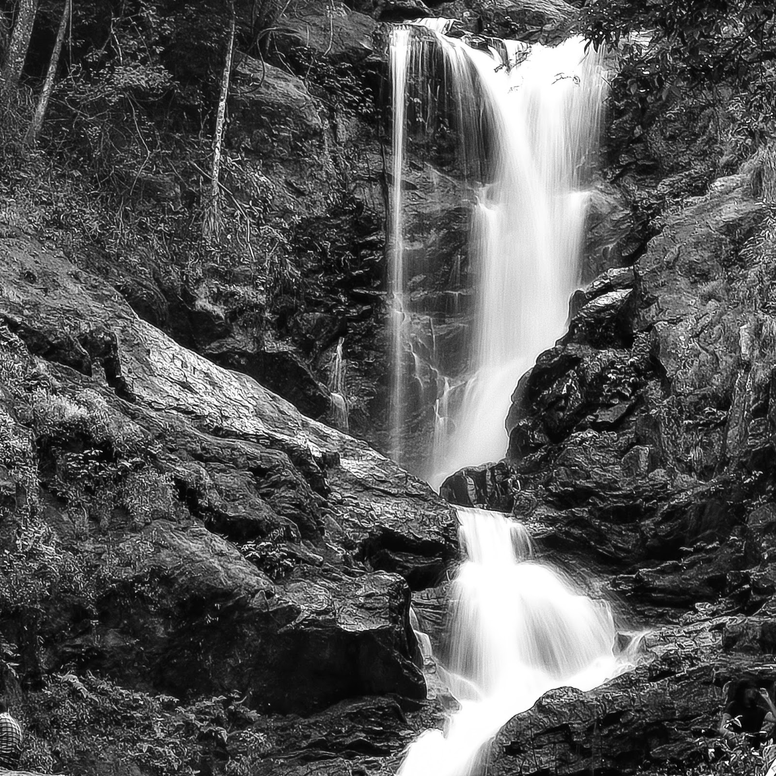 Brahmagiri Wildlife Sanctuary