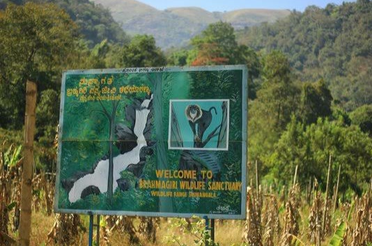 Brahmagiri Wildlife Sanctuary