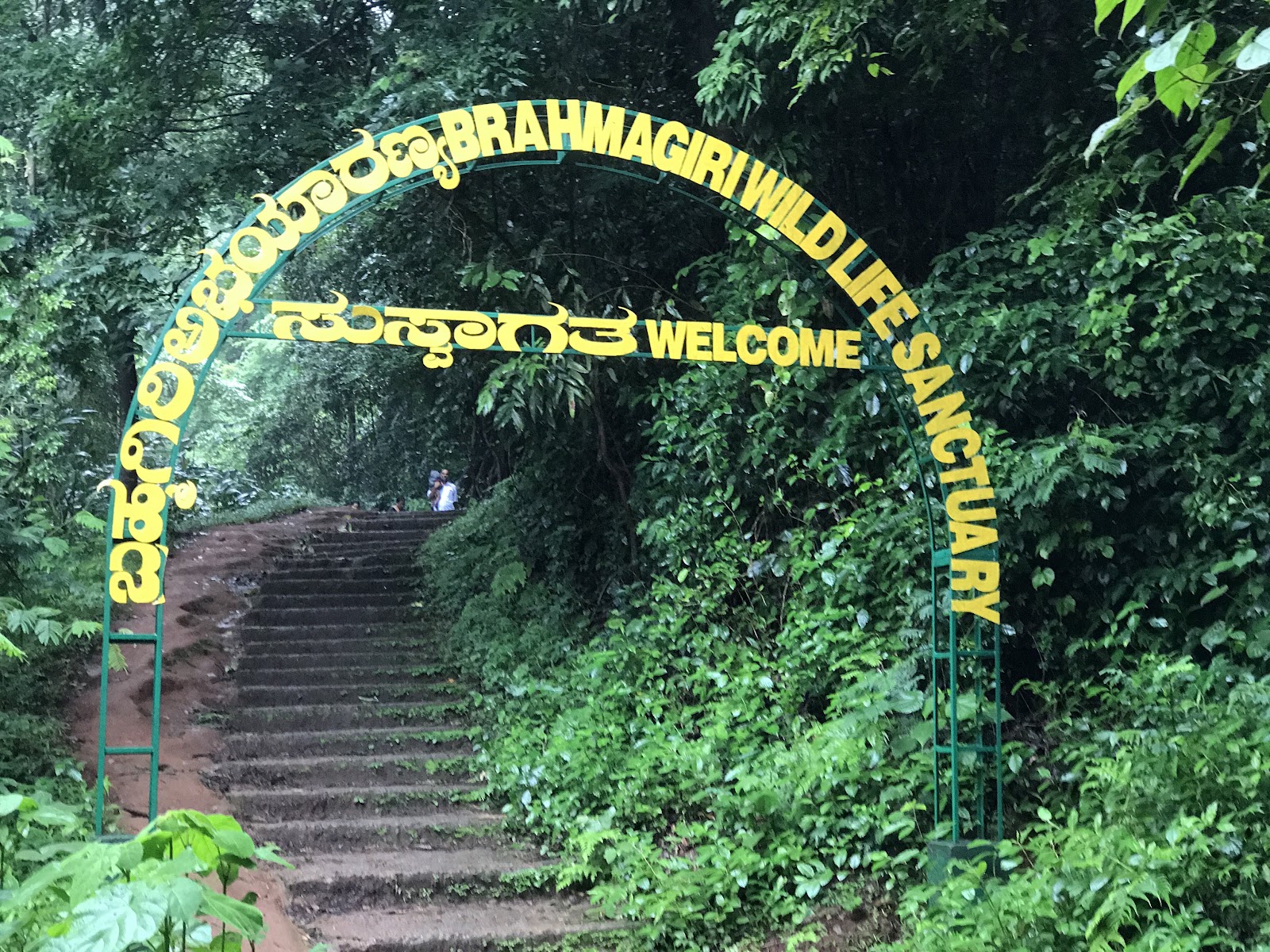 Brahmagiri Wildlife Sanctuary