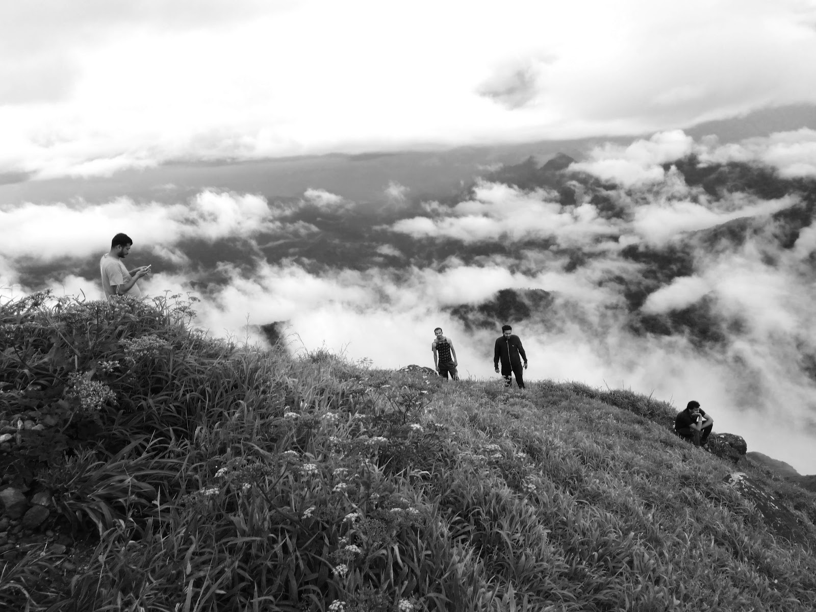 Brahmagiri Wildlife Sanctuary