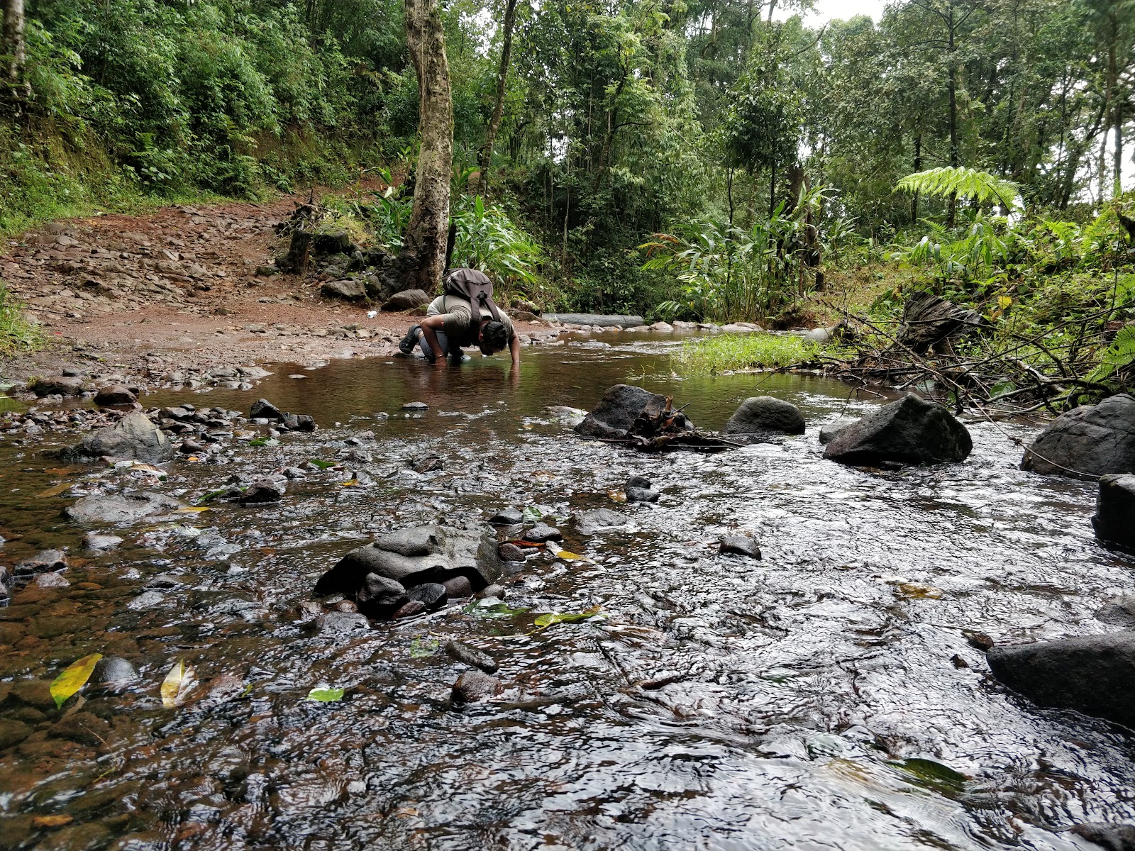 Brahmagiri Wildlife Sanctuary