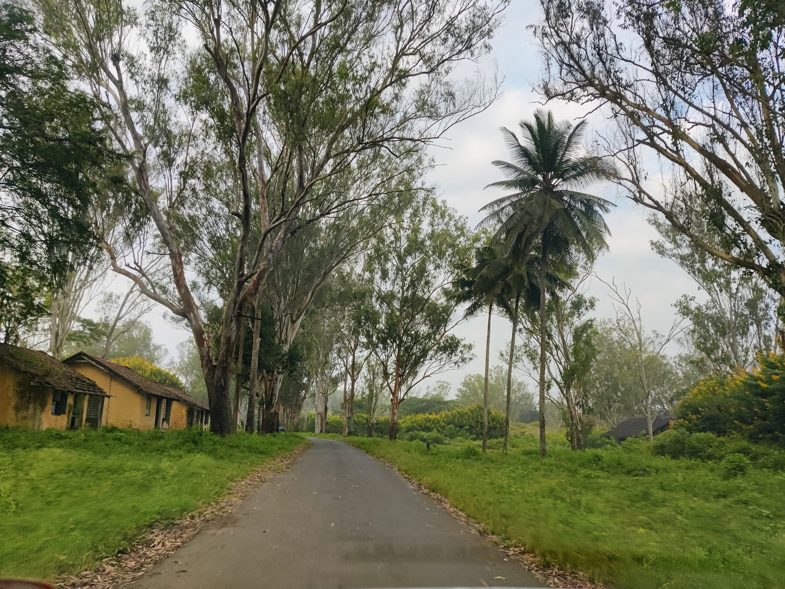 Nagarhole National Park