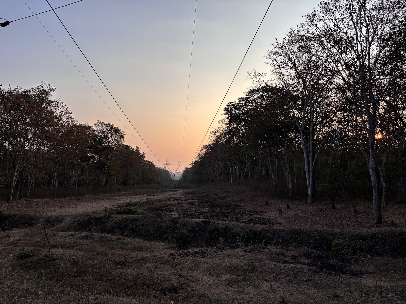 Nagarhole National Park