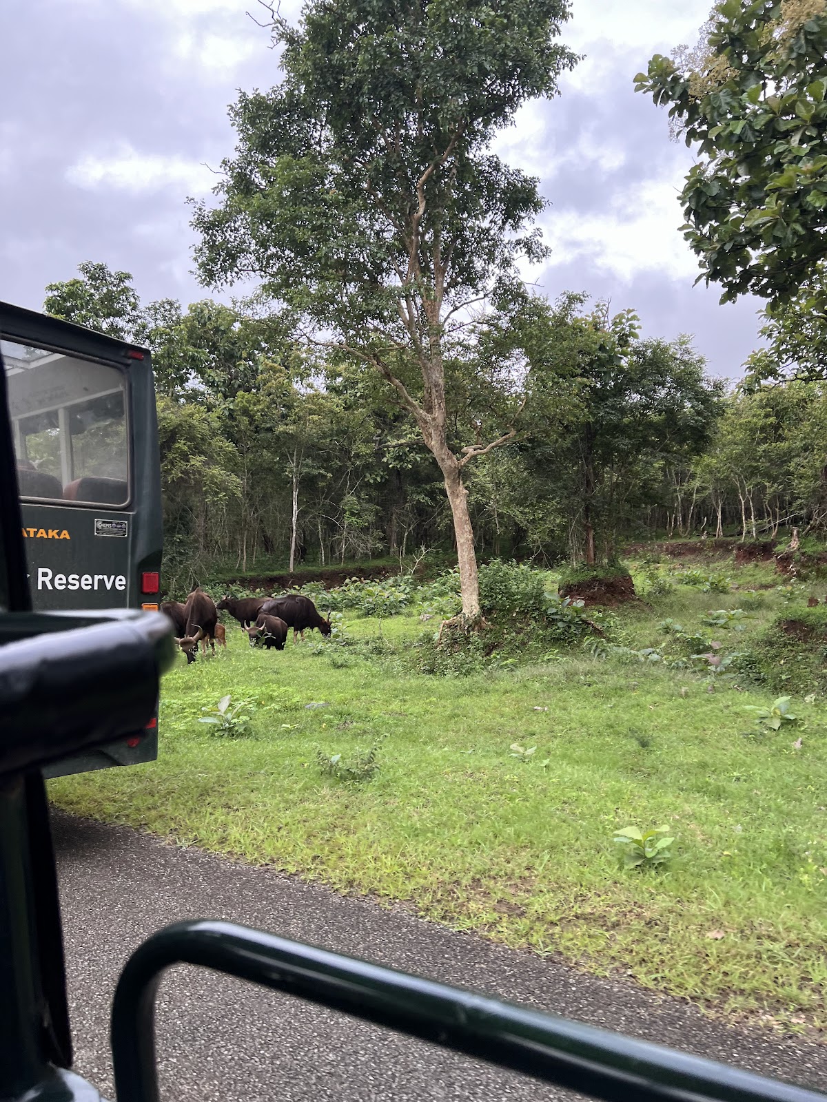 Nagarhole National Park