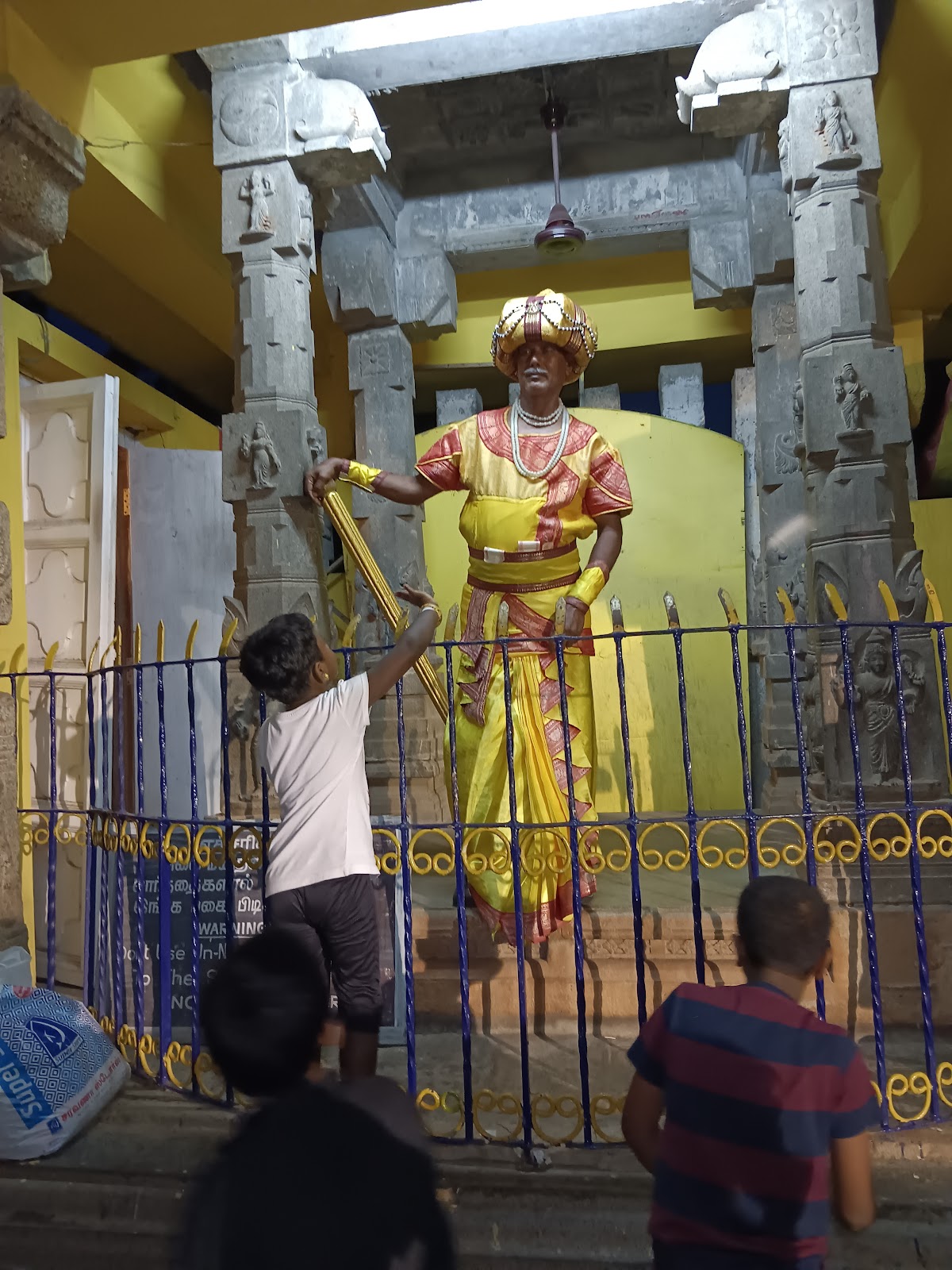 VGP Universal Kingdom