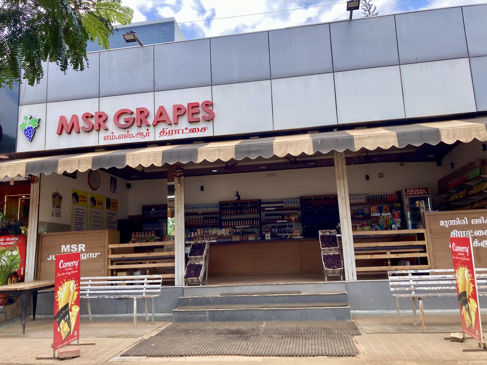 Grape Gardens
