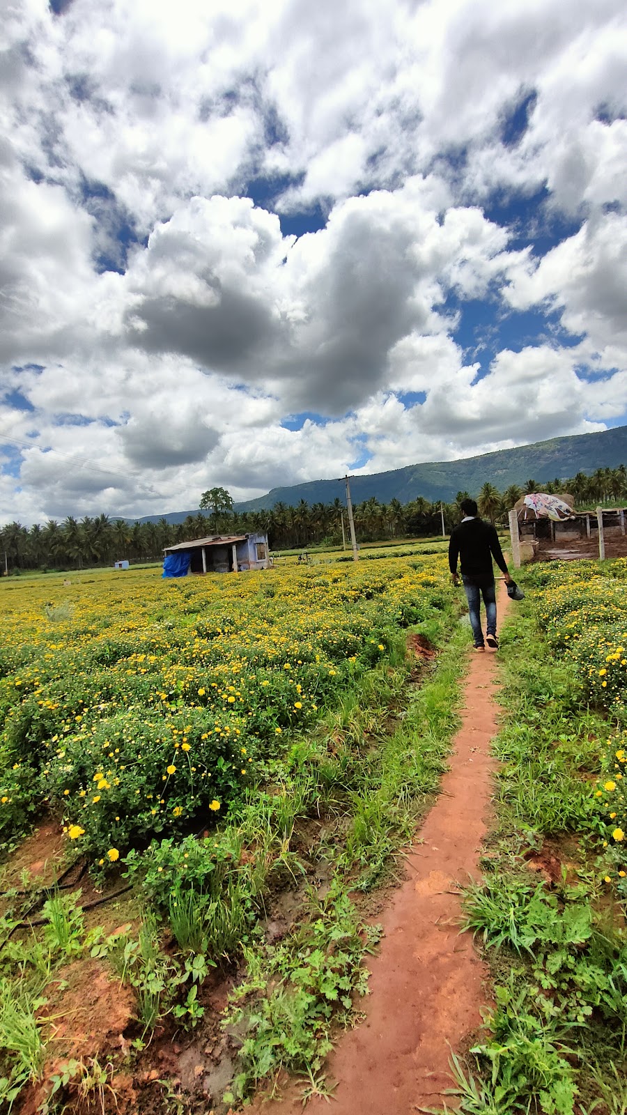 Sunset Viewpoint near Cumbum