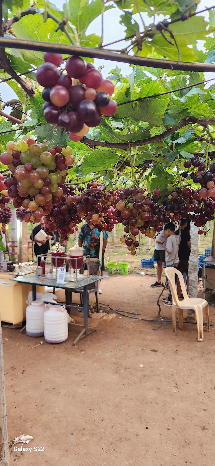 Sunset Viewpoint near Cumbum