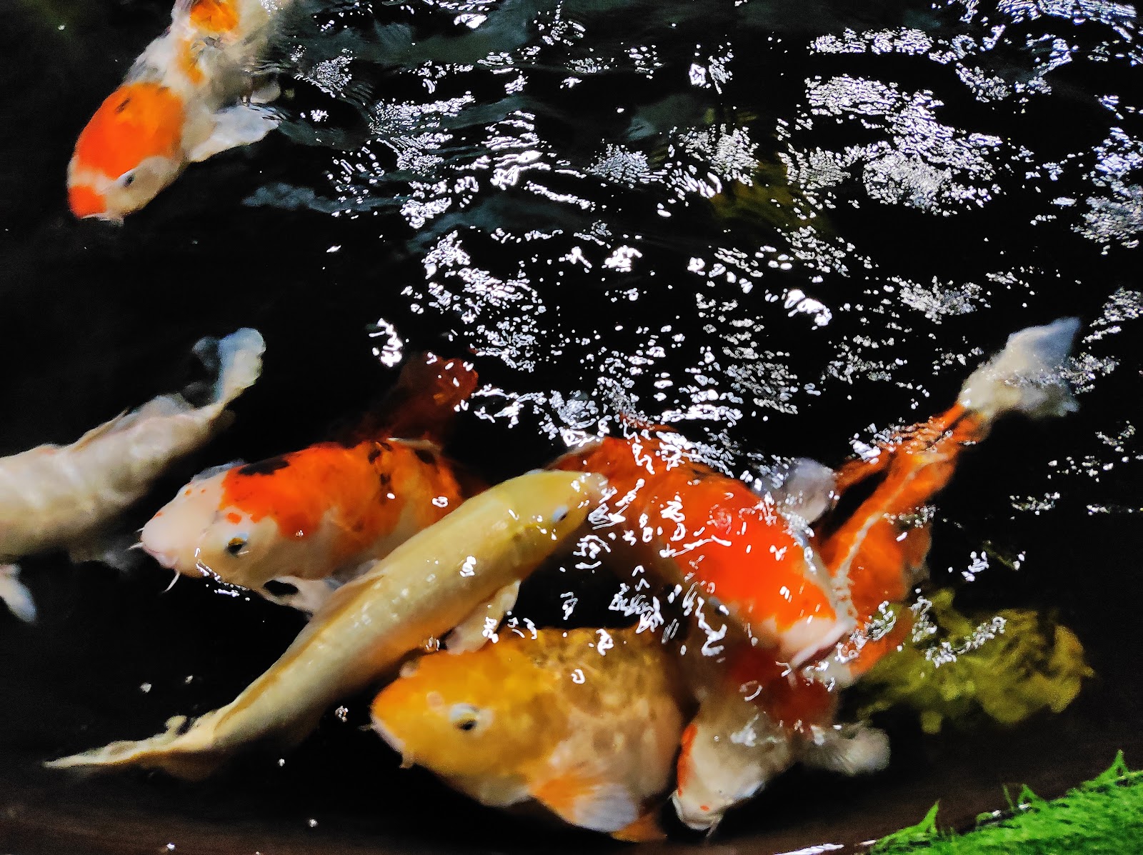 Odisha State Maritime Museum