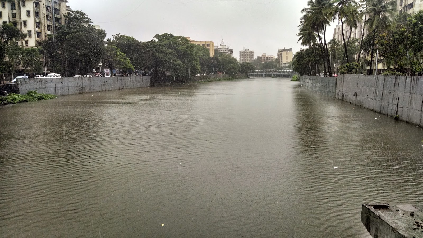 Local Community Art Murals