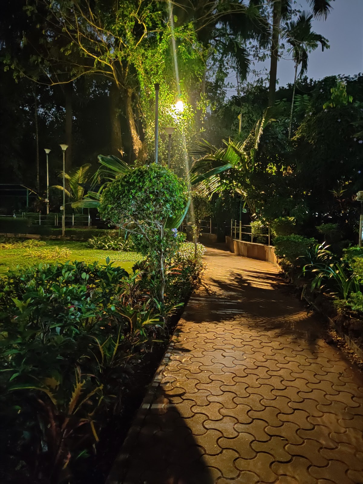 Local Community Art Murals