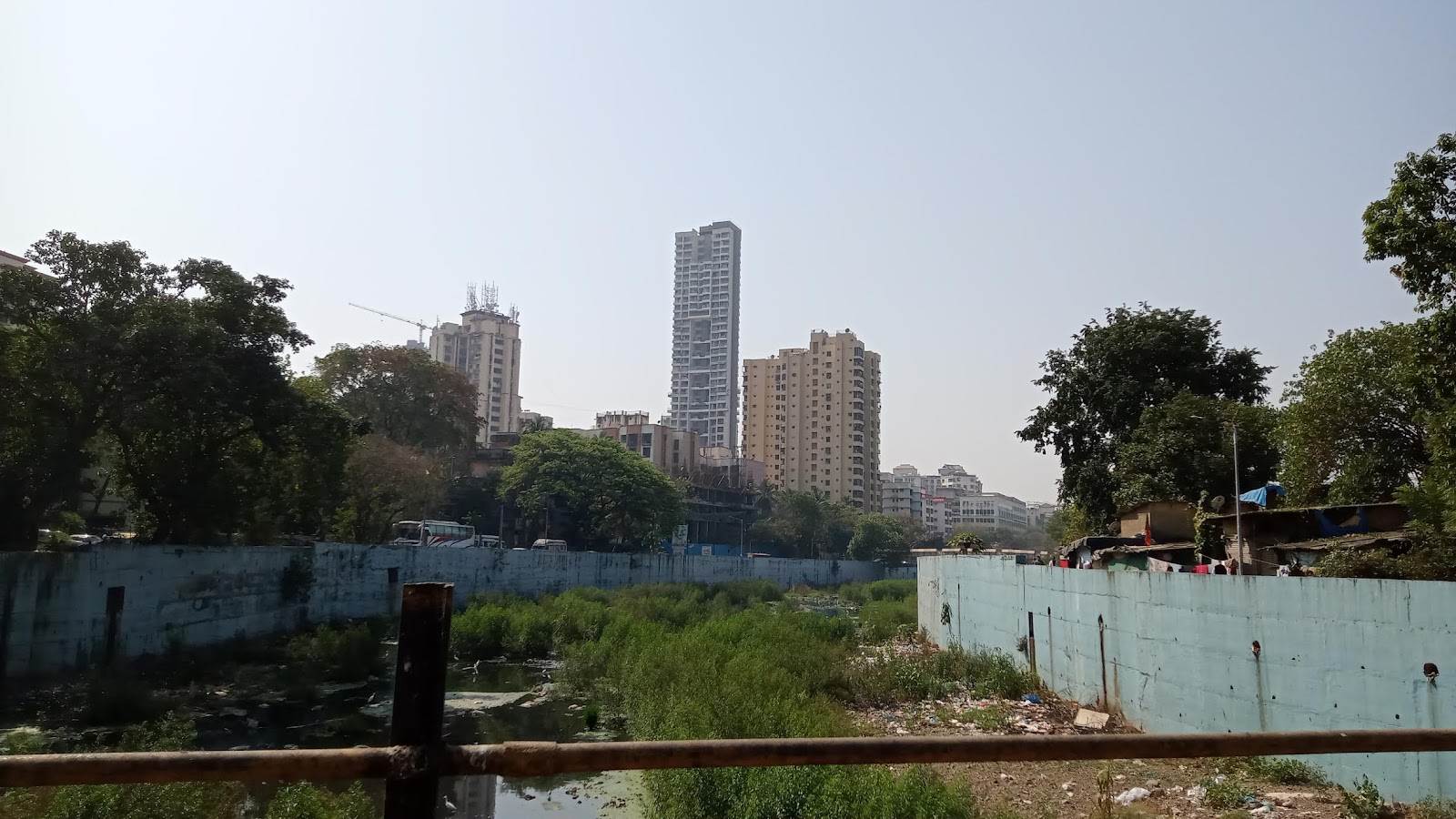 Local Community Art Murals