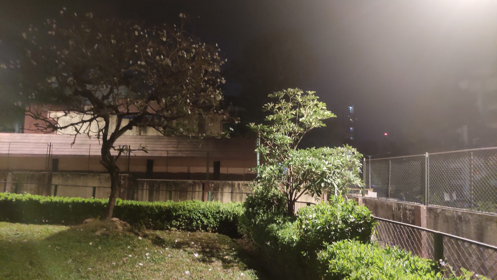 Community Garden at Devipada