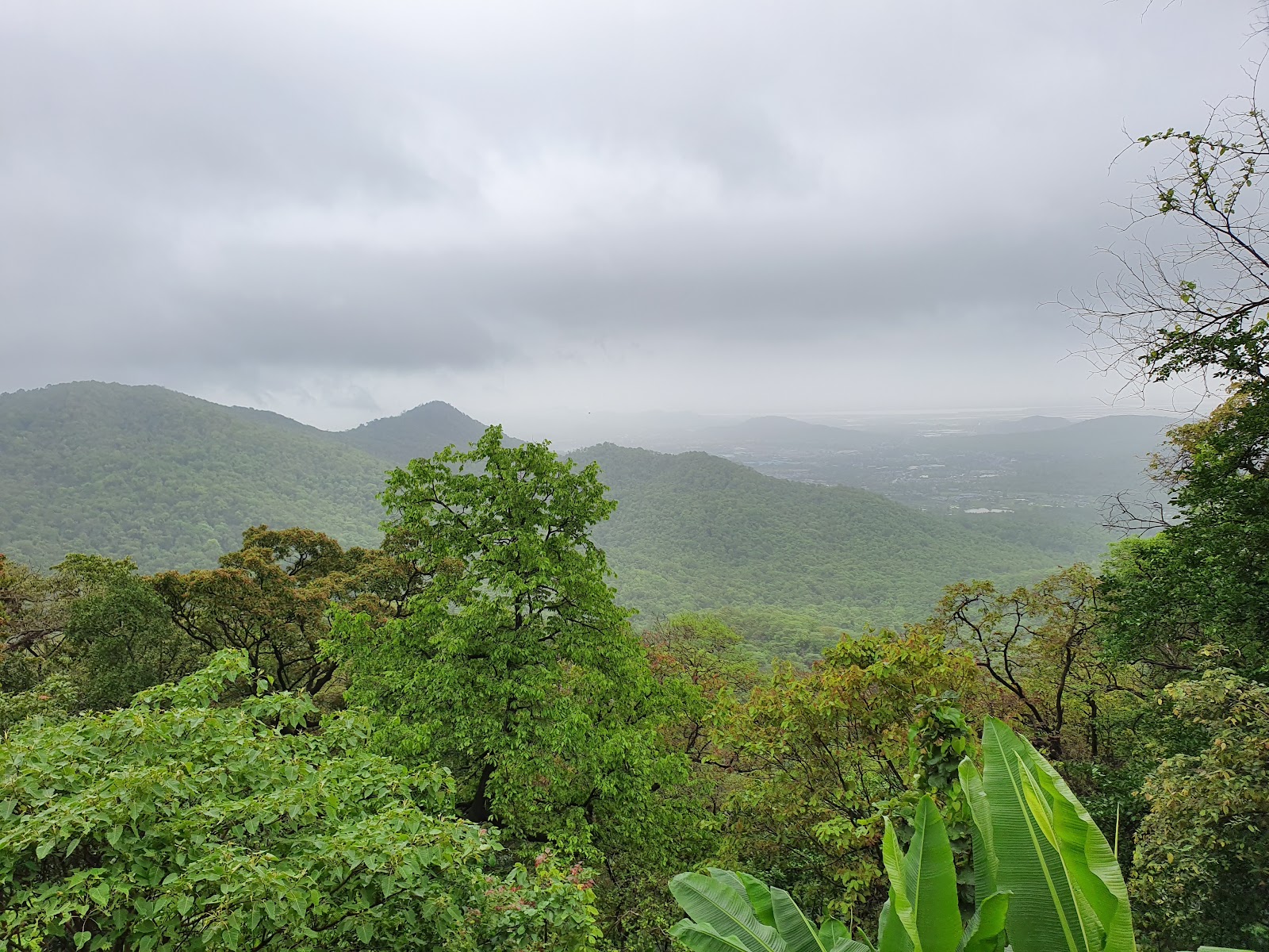 Tungareshwar Wildlife Sanctuary