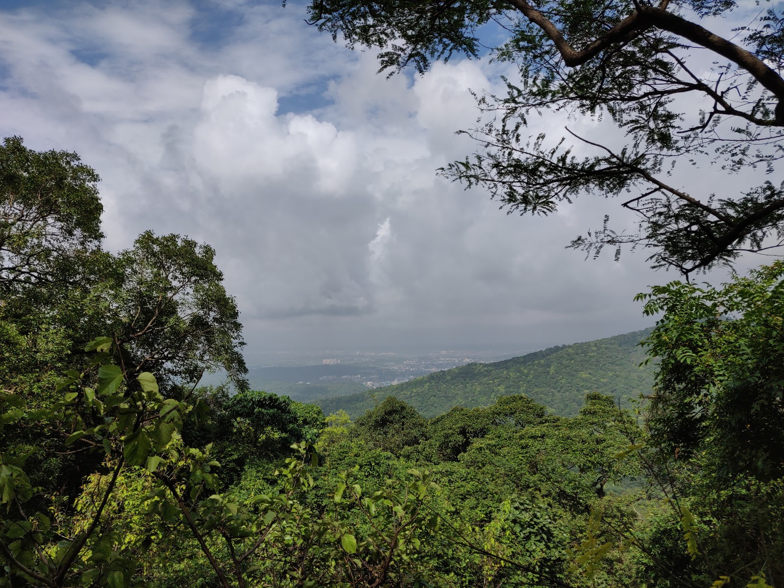 Tungareshwar Wildlife Sanctuary