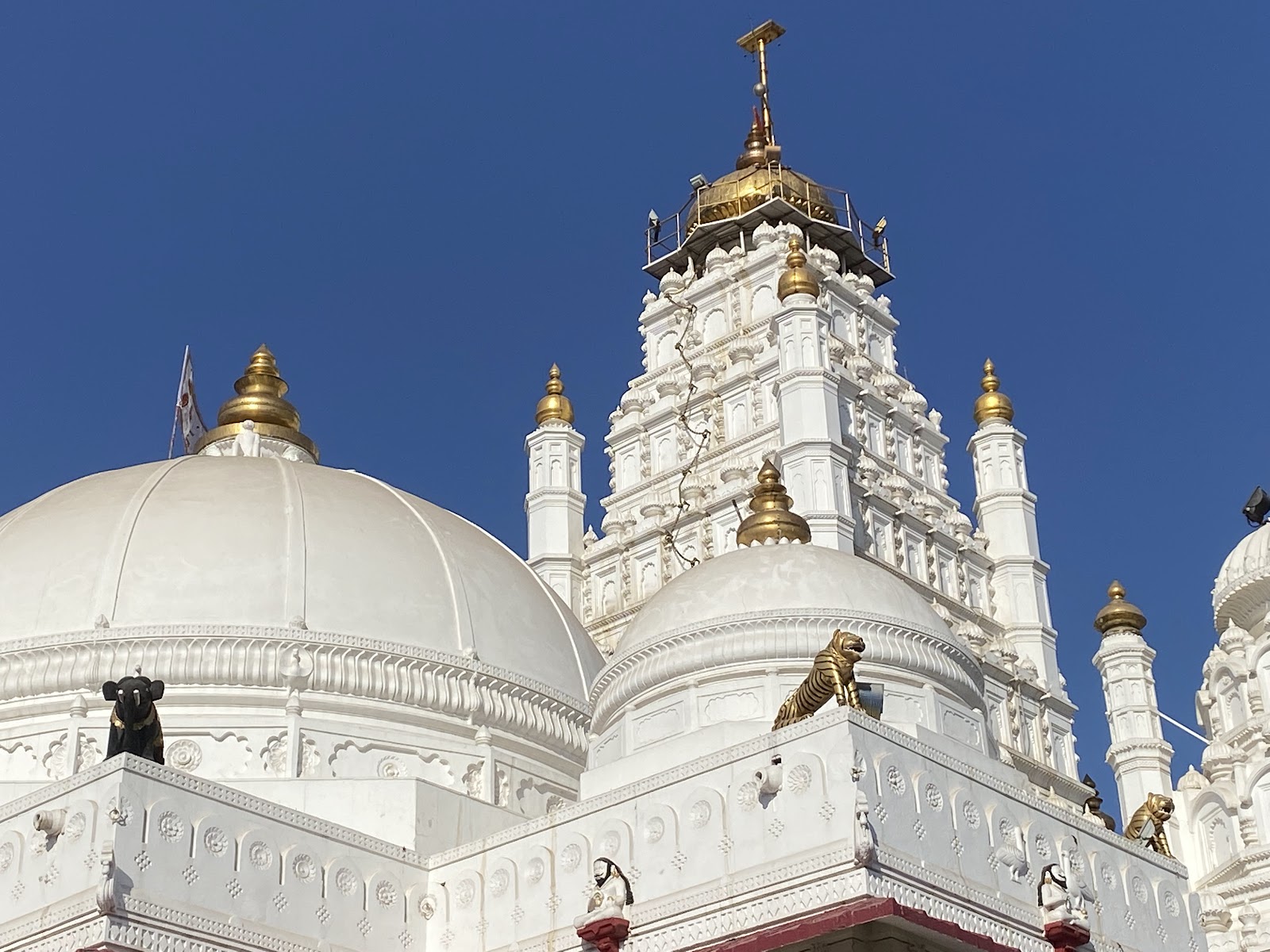 Krishna Janmashtami Festival