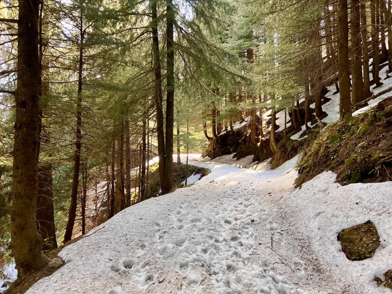 Kalatop Khajjiar Sanctuary
