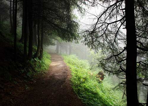 Kalatope Wildlife Sanctuary