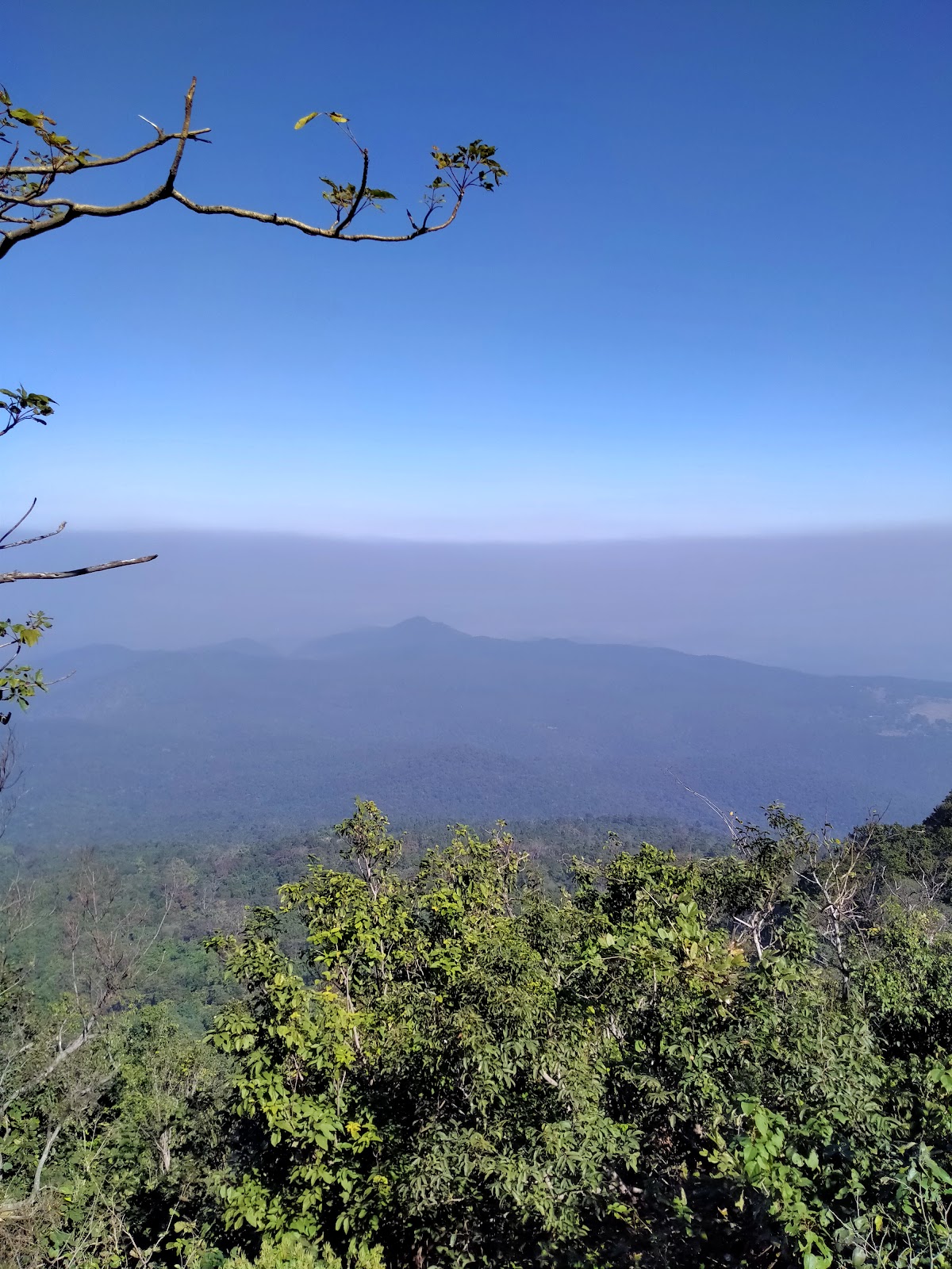 Dalma Wildlife Sanctuary - A Nature Lover's Paradise