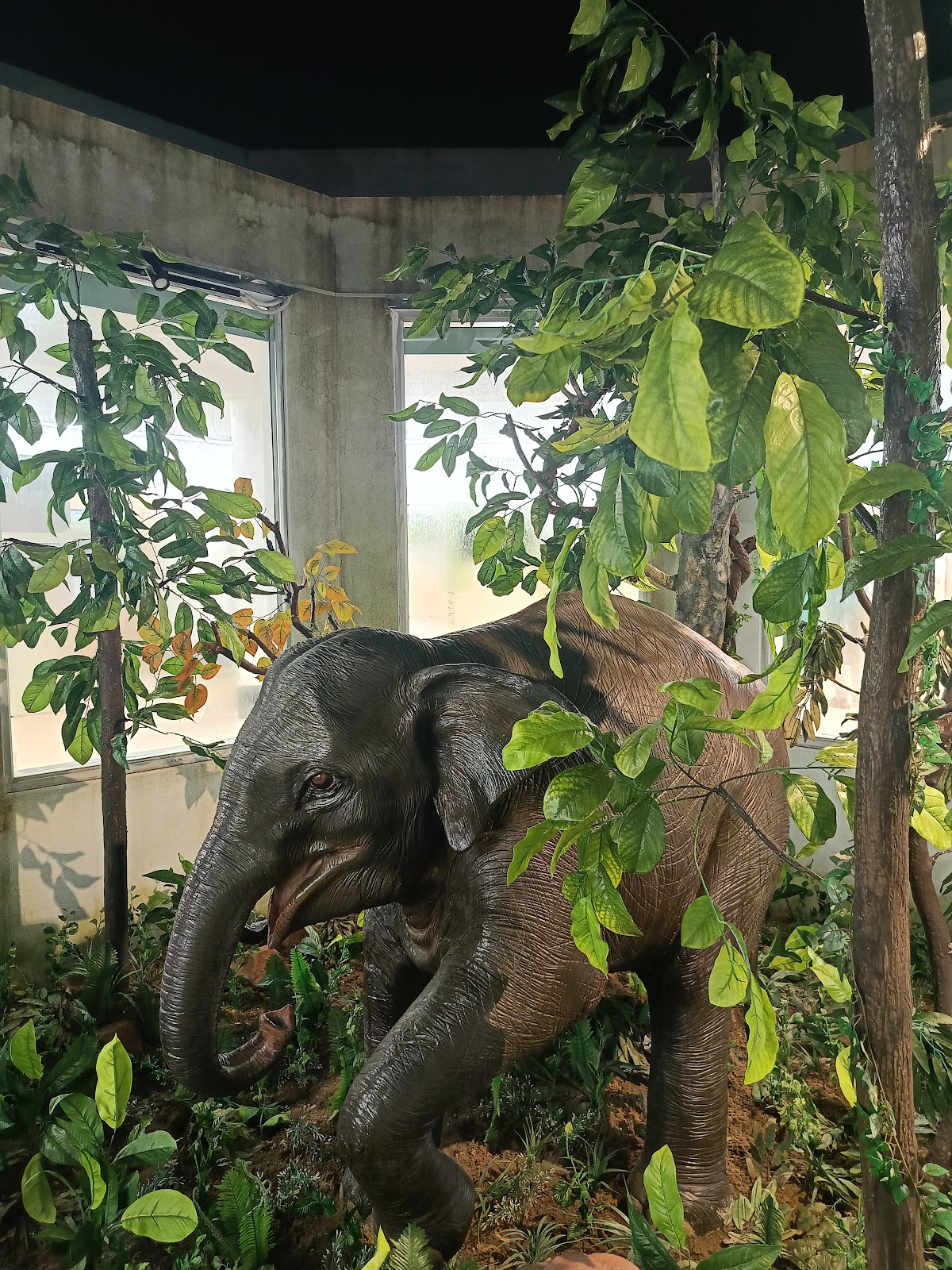 Nature Interpretation Centre