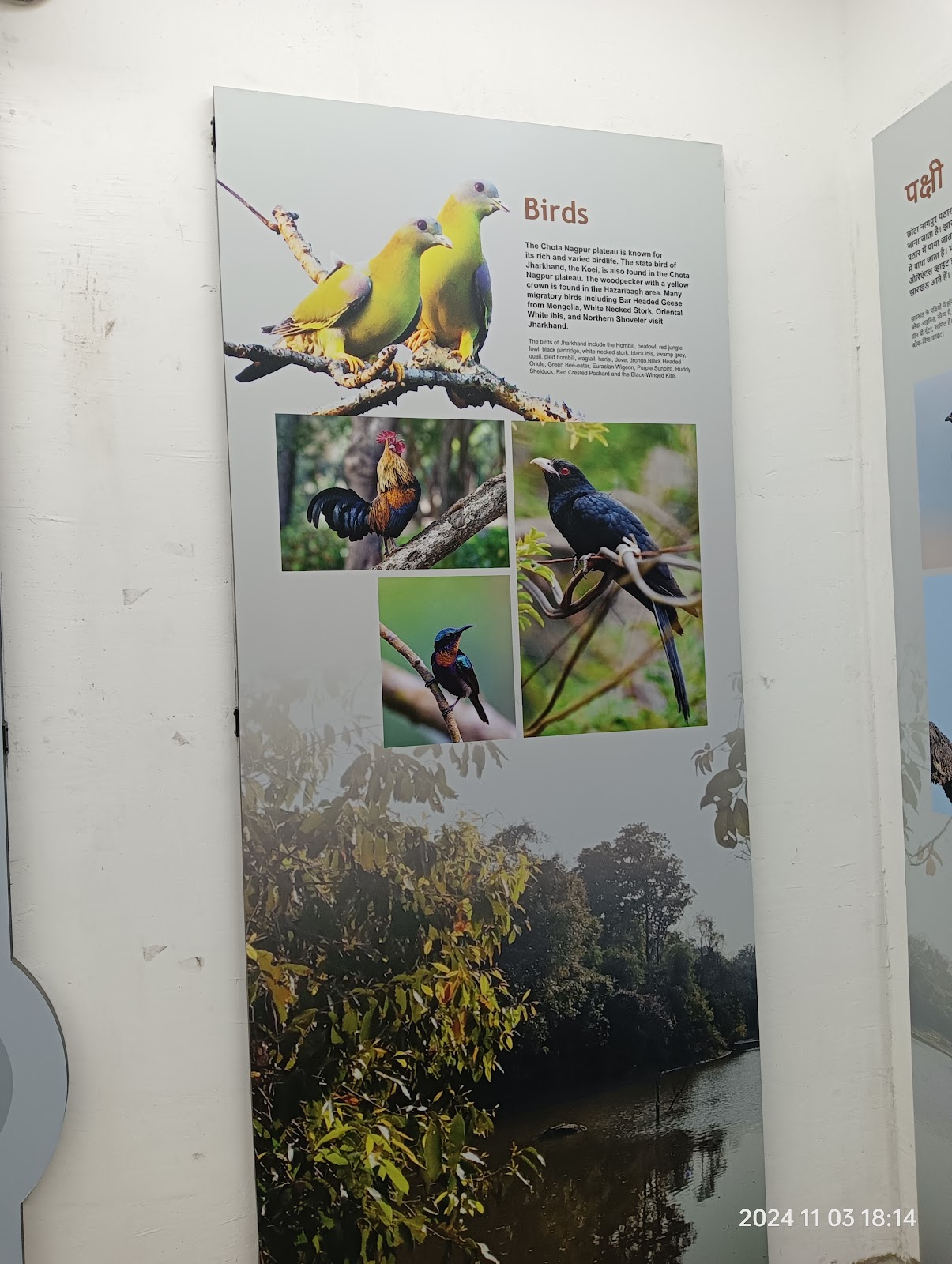 Nature Interpretation Centre