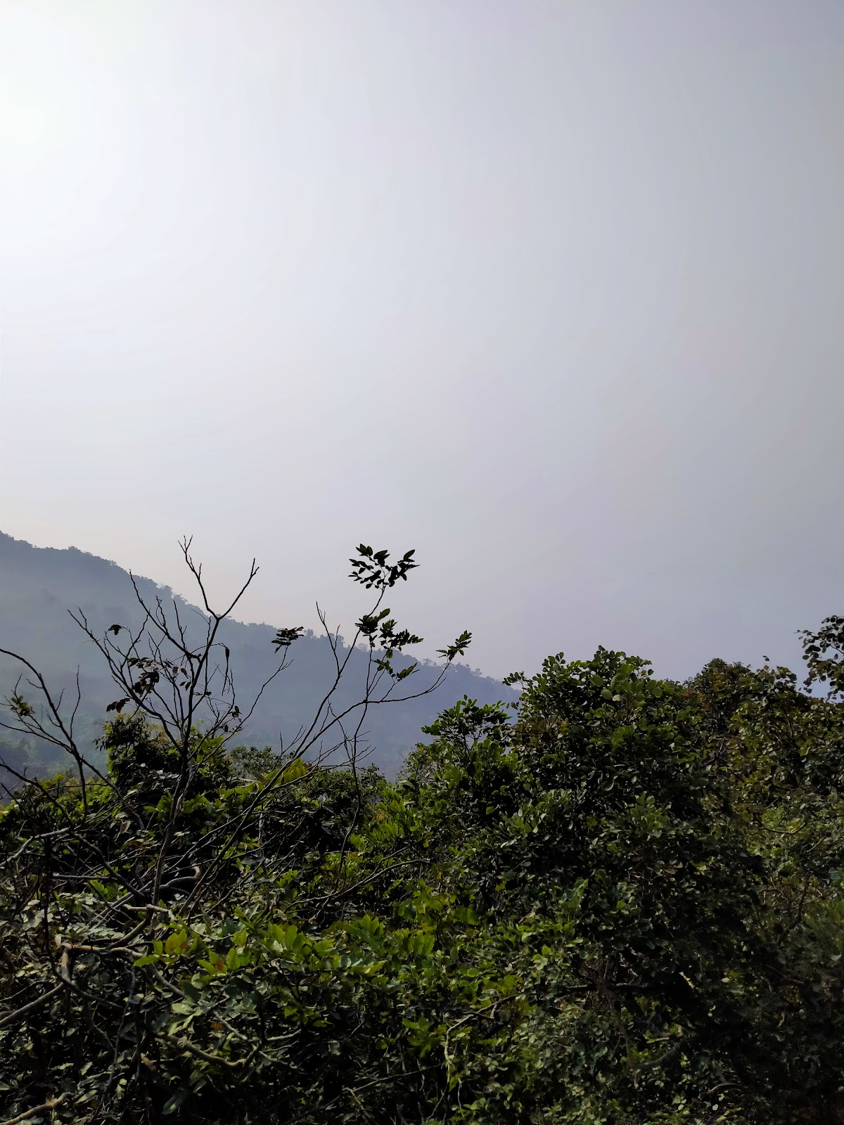 Wildlife Observation Tower