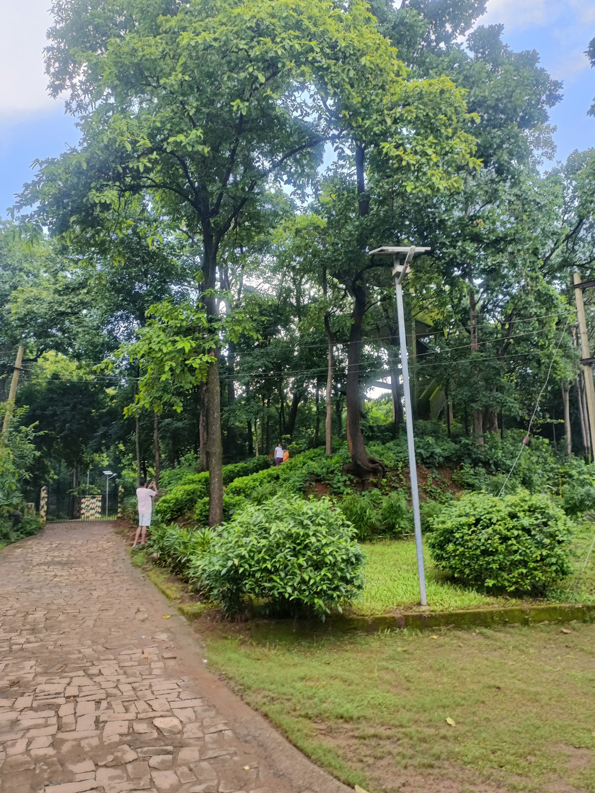 Wildlife Observation Tower