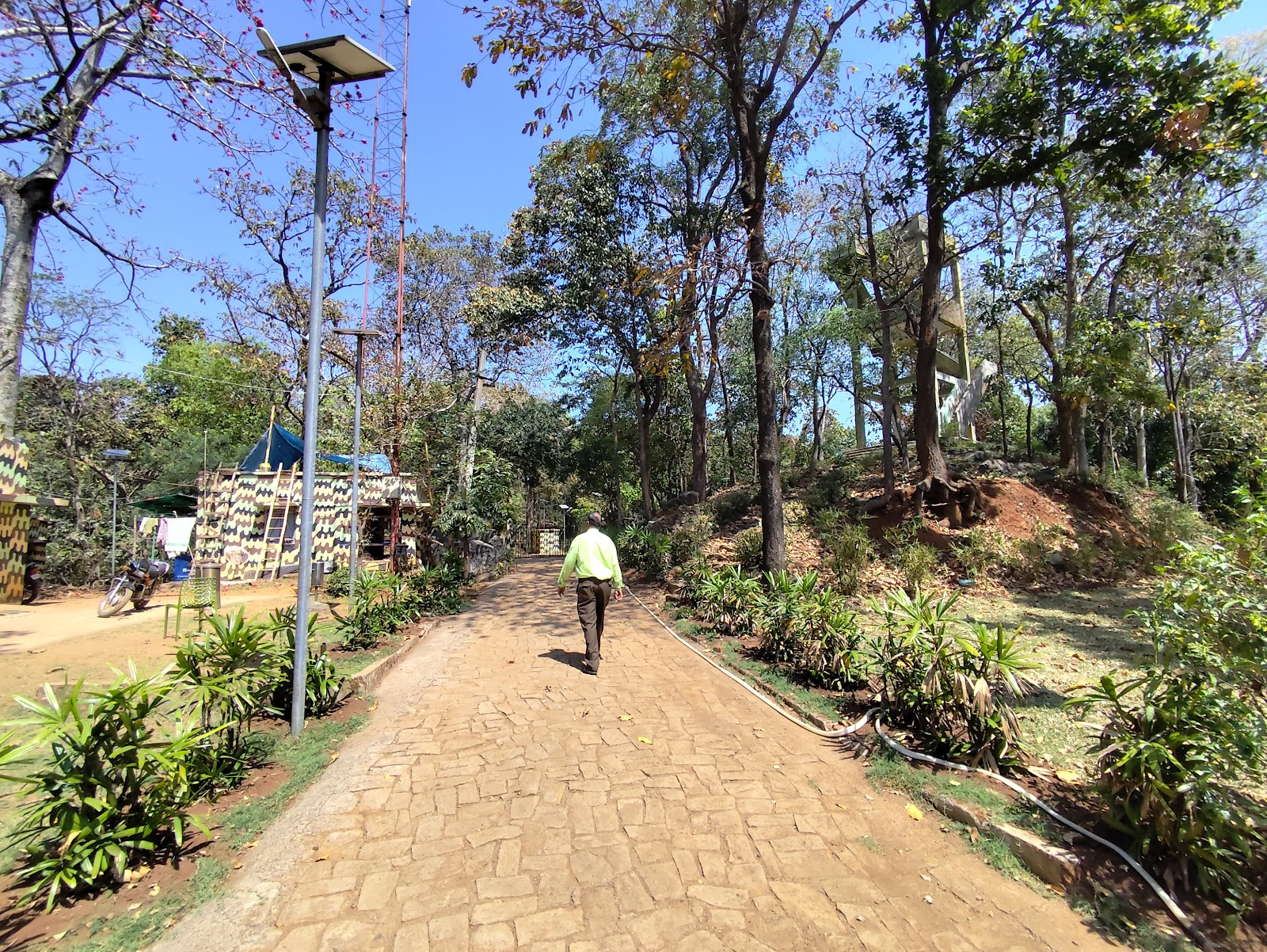 Wildlife Observation Tower