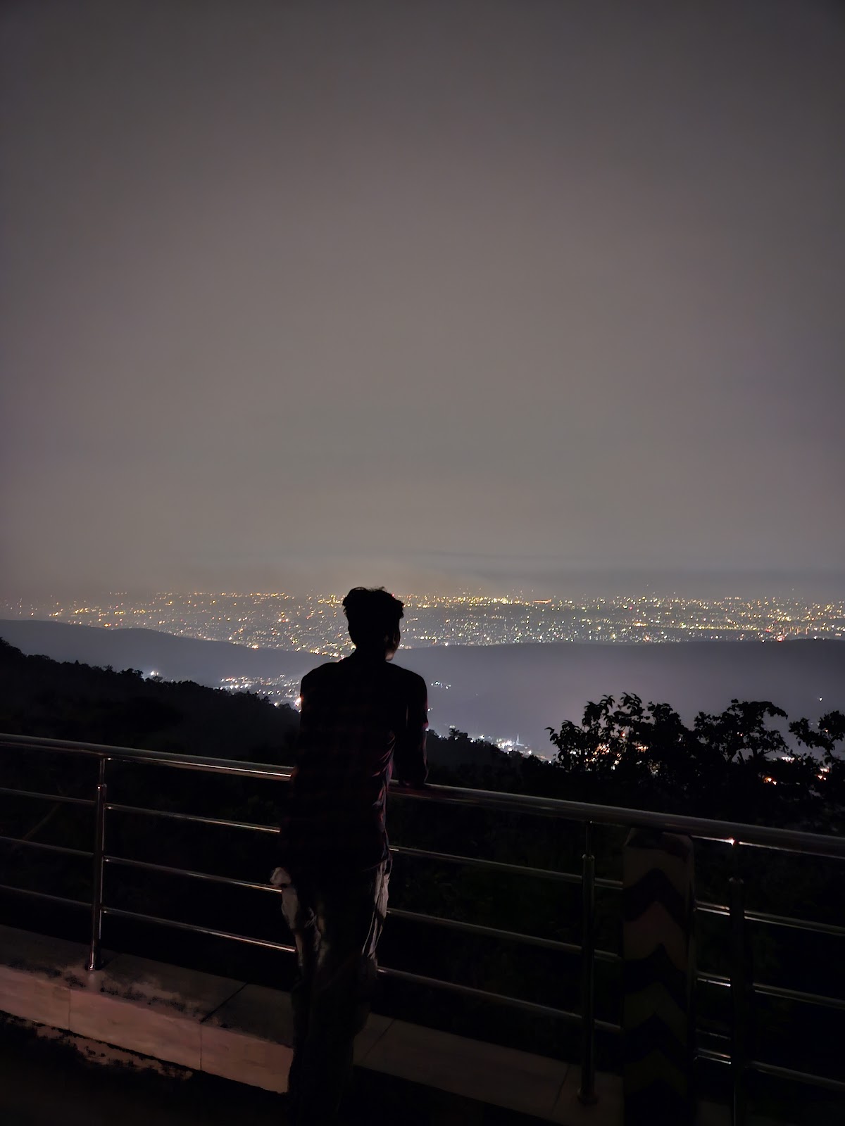 Wildlife Observation Tower