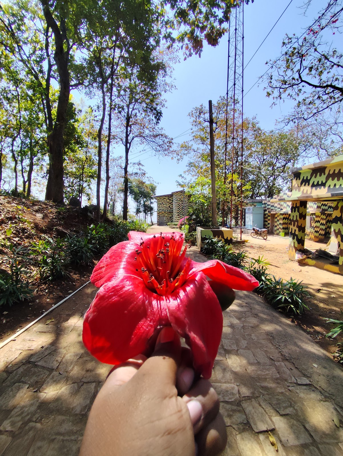 Wildlife Observation Tower