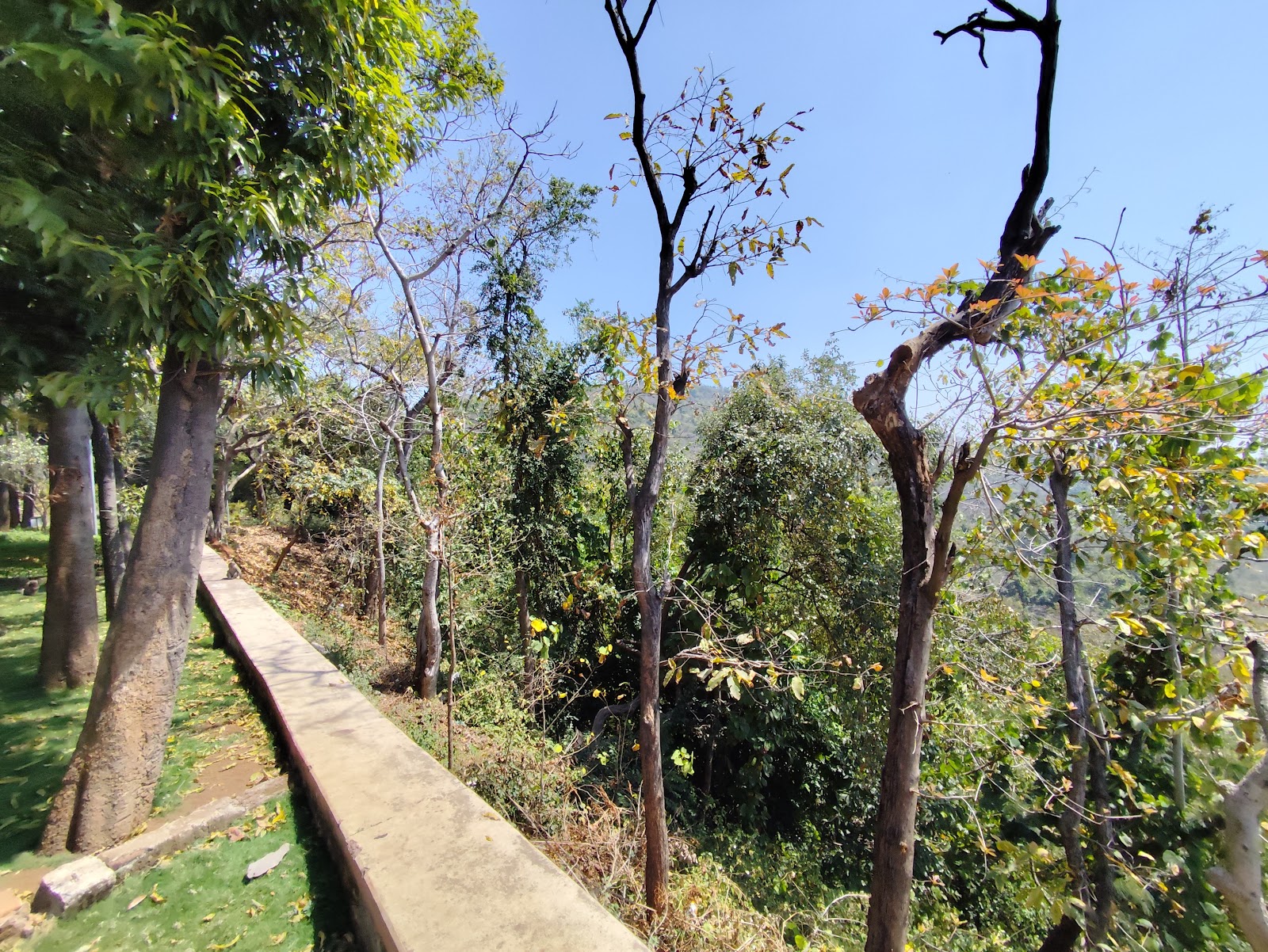 Wildlife Observation Tower