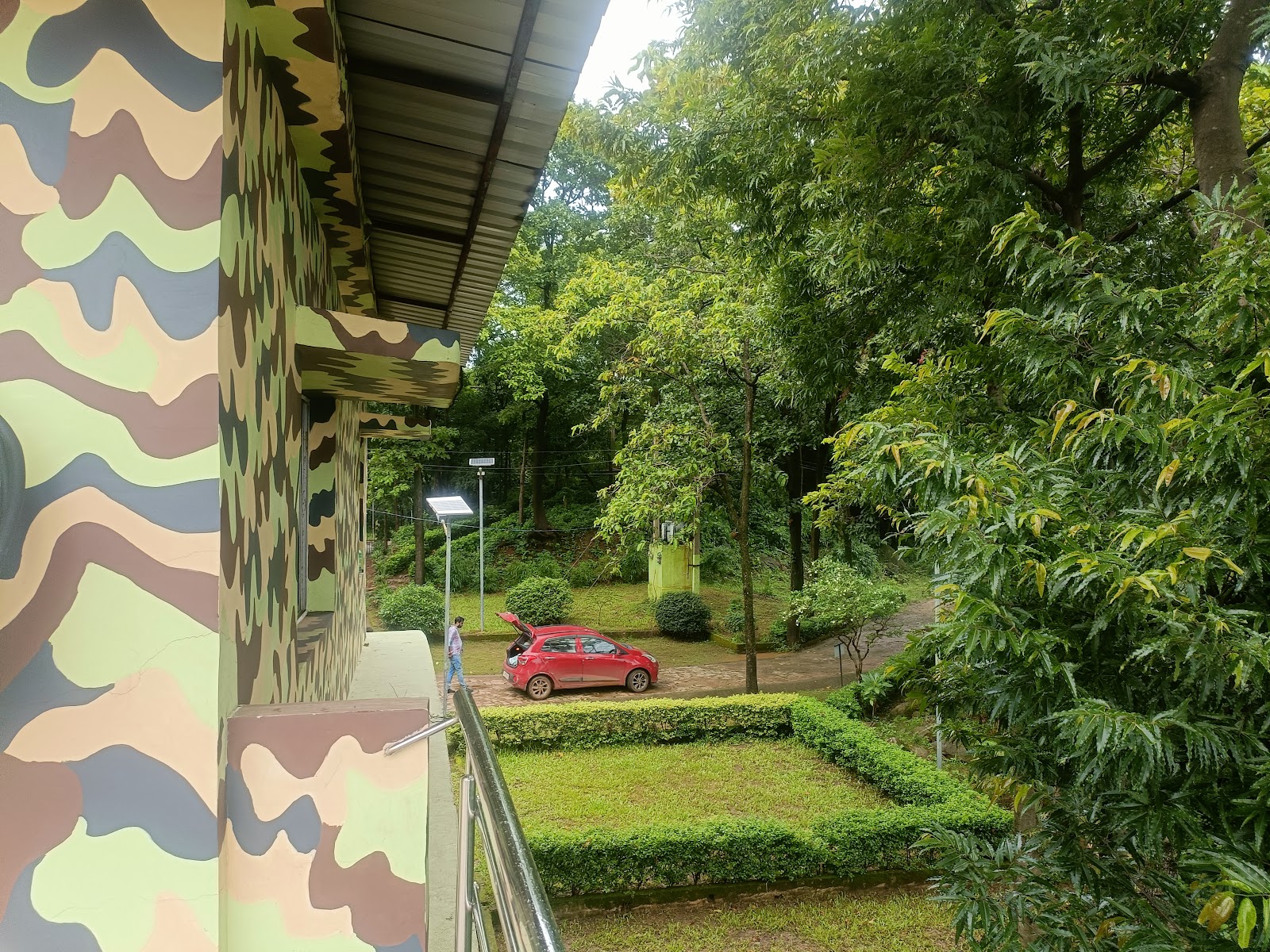 Wildlife Observation Tower