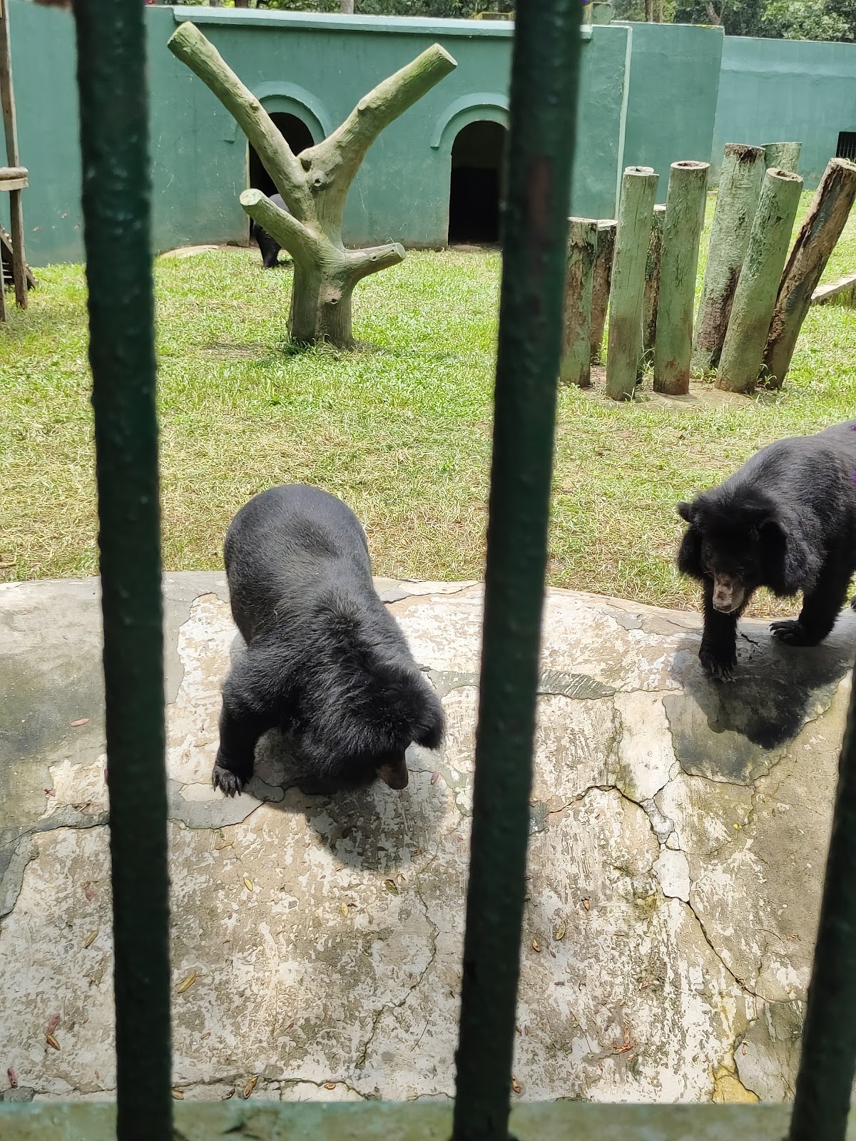 Sepahijala Wildlife Sanctuary