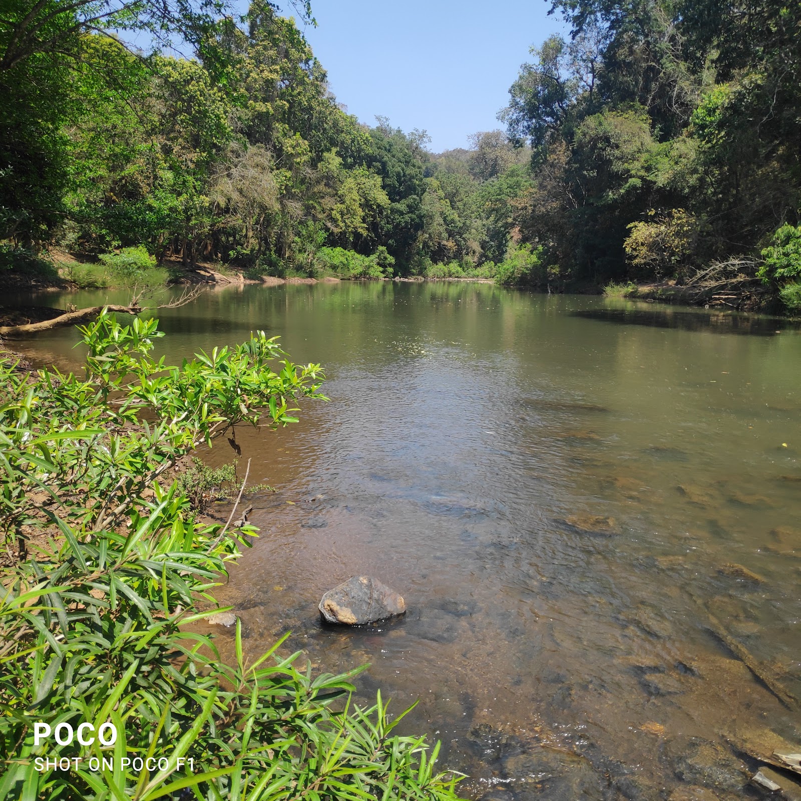 Dandeli - Adventure and Nature in Karnataka