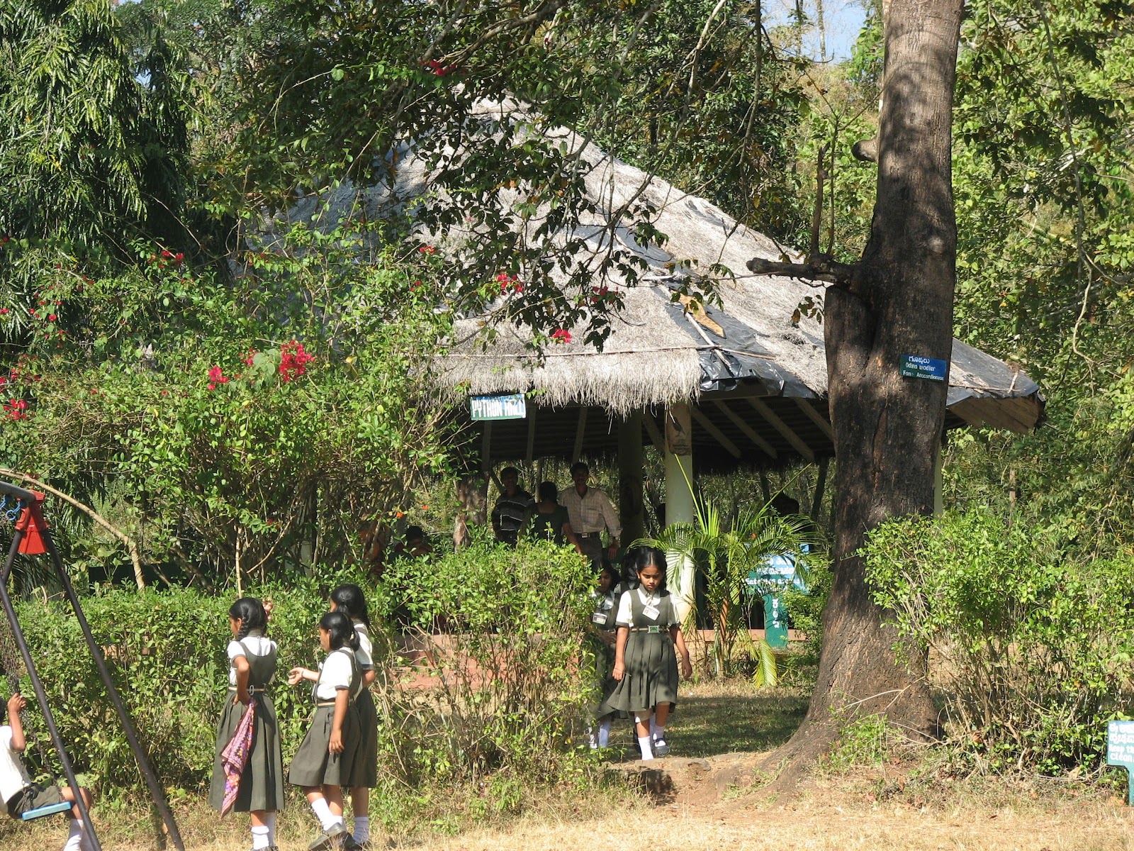 Dandeli Wildlife Sanctuary