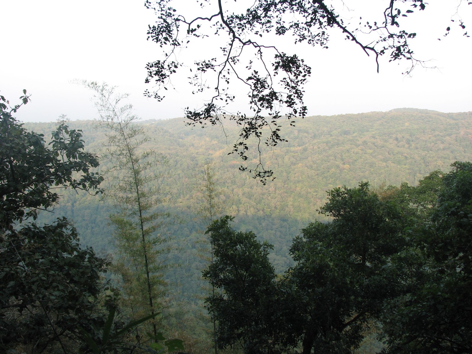 Dandeli Wildlife Sanctuary