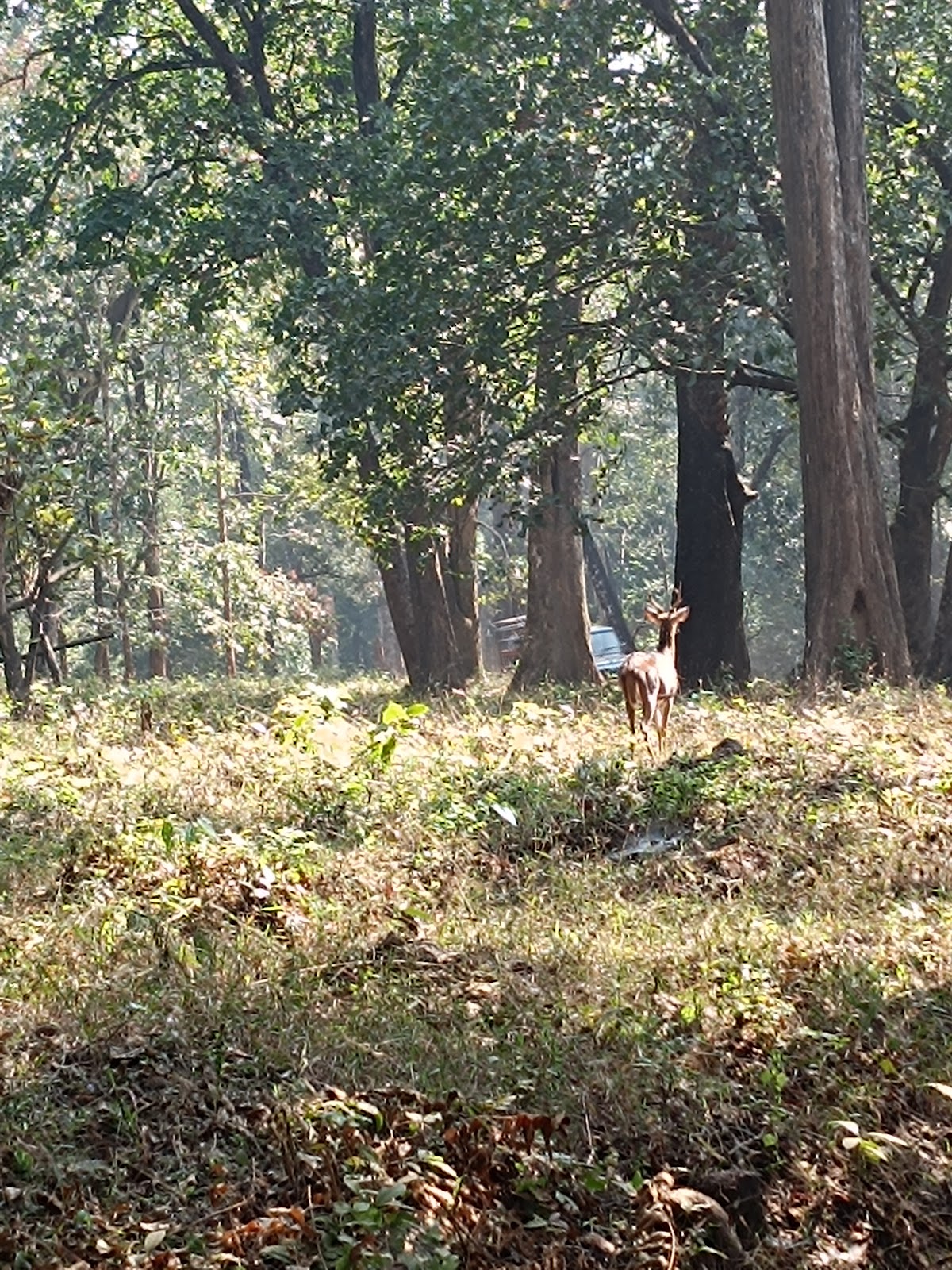 Dandeli Wildlife Sanctuary
