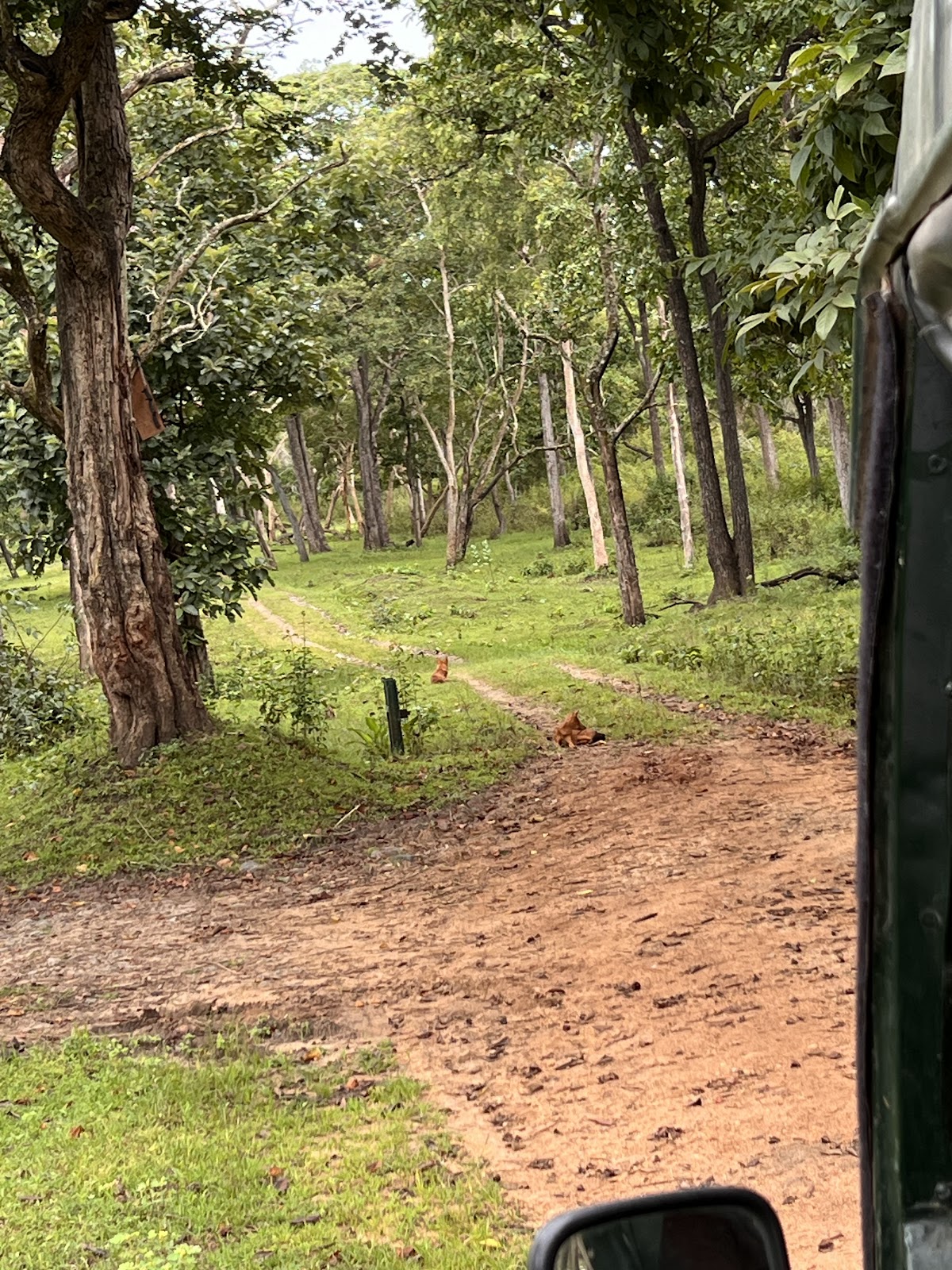 Nagarhole National Park
