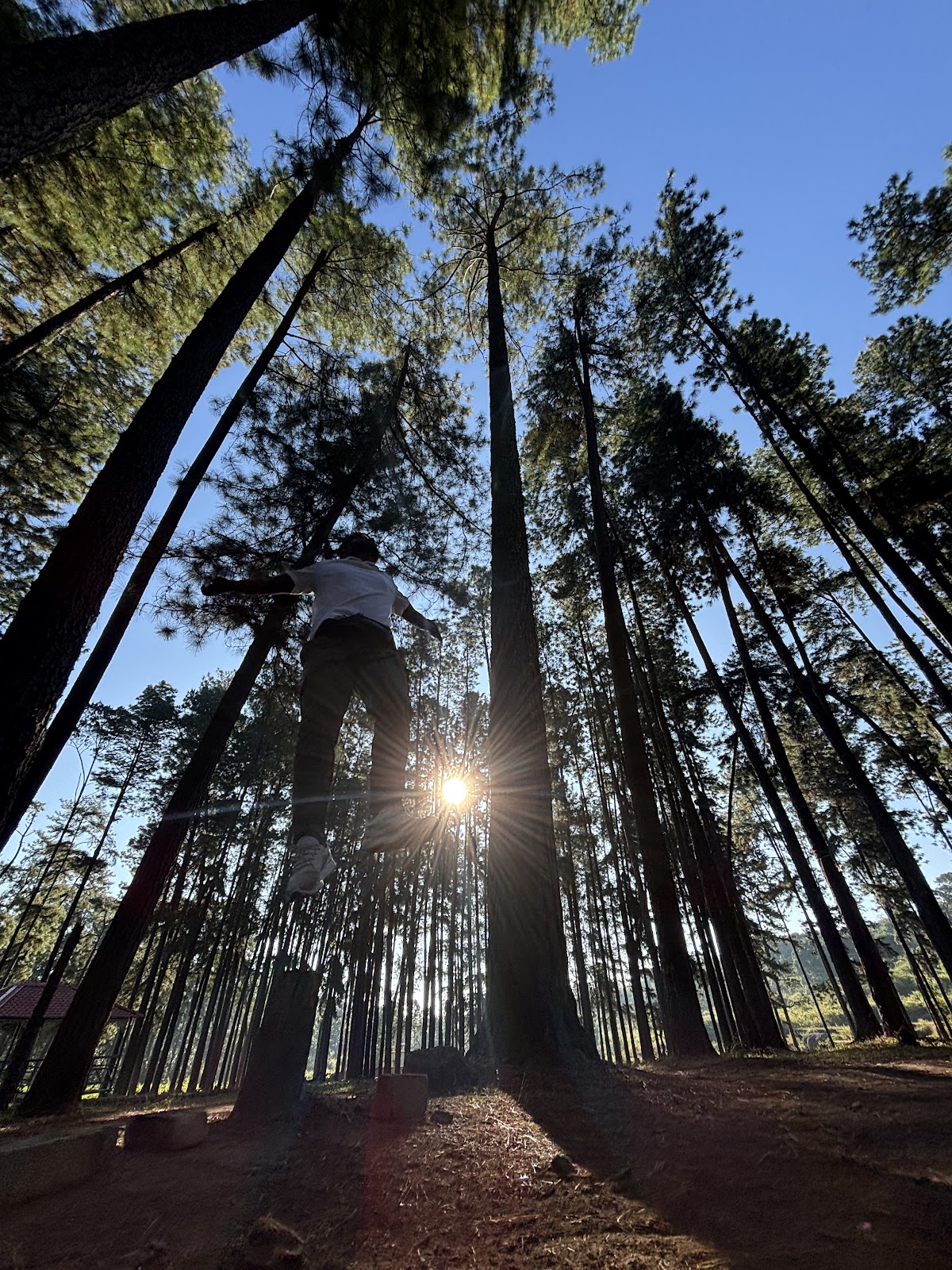 Daringbadi Waterfall
