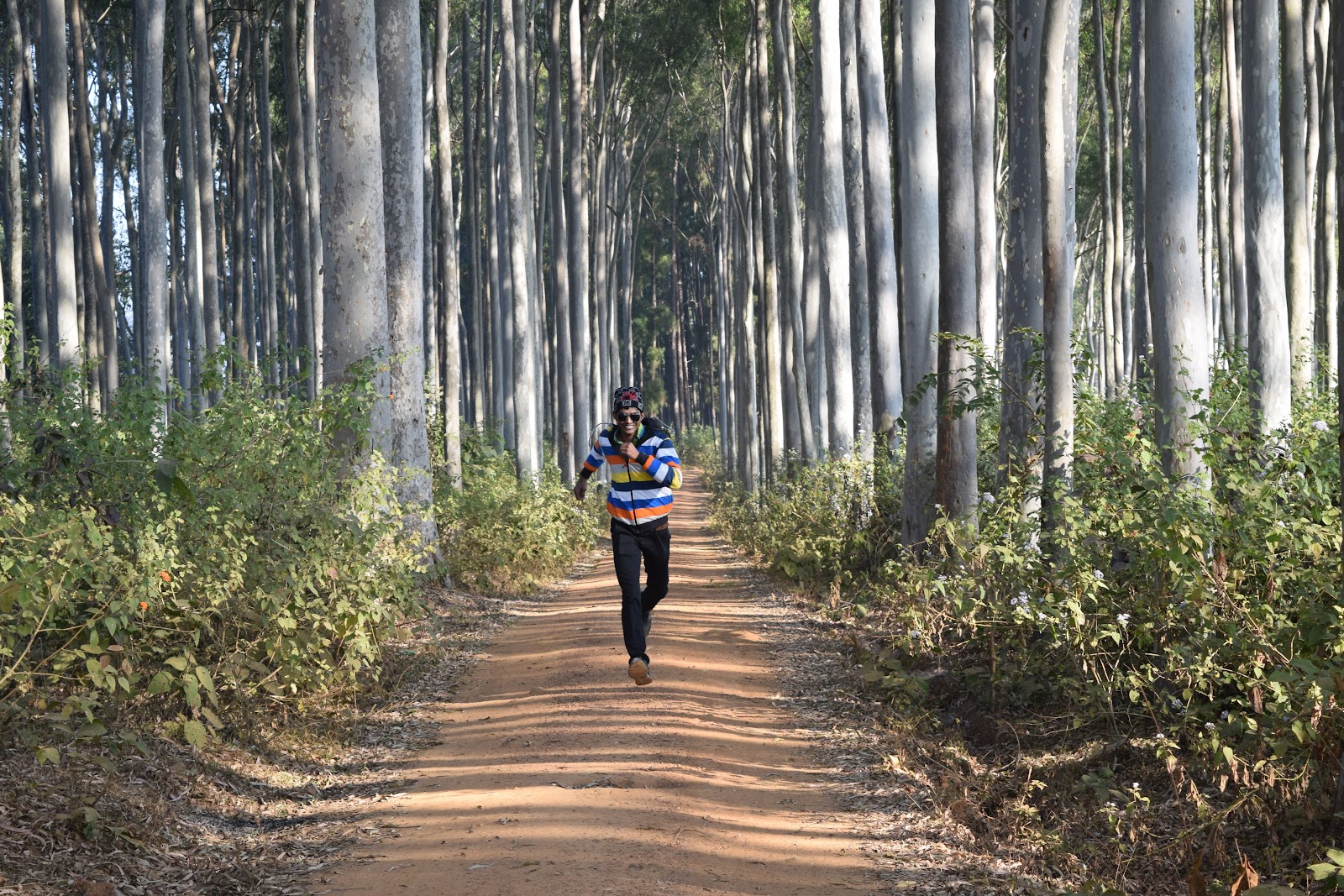 Daringbadi Waterfall