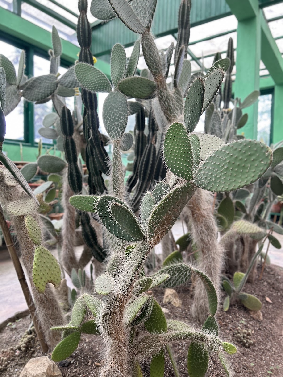 Lloyd Botanical Garden