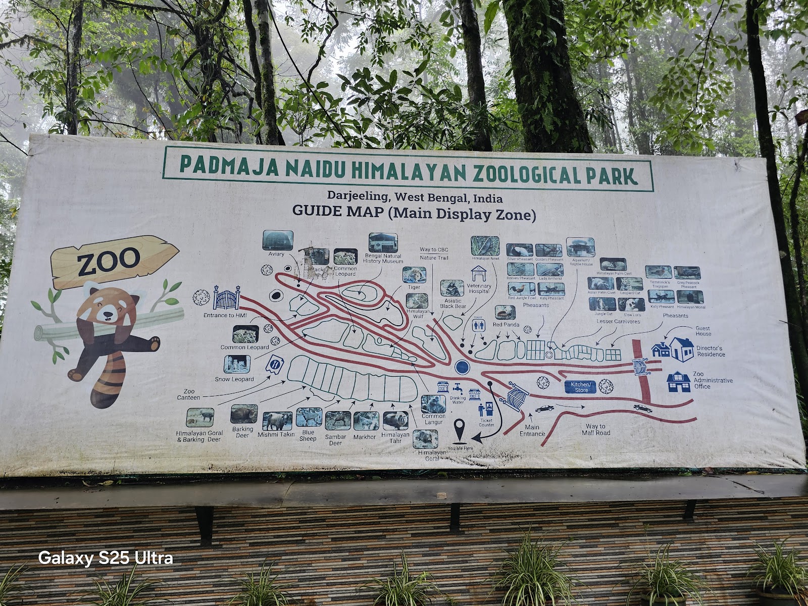 Darjeeling Zoo