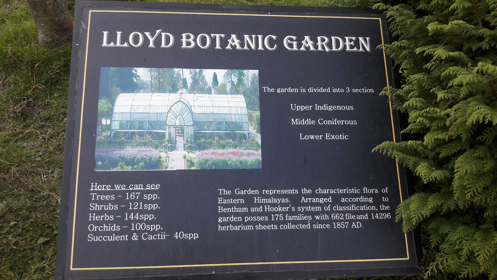Lloyd Botanical Garden