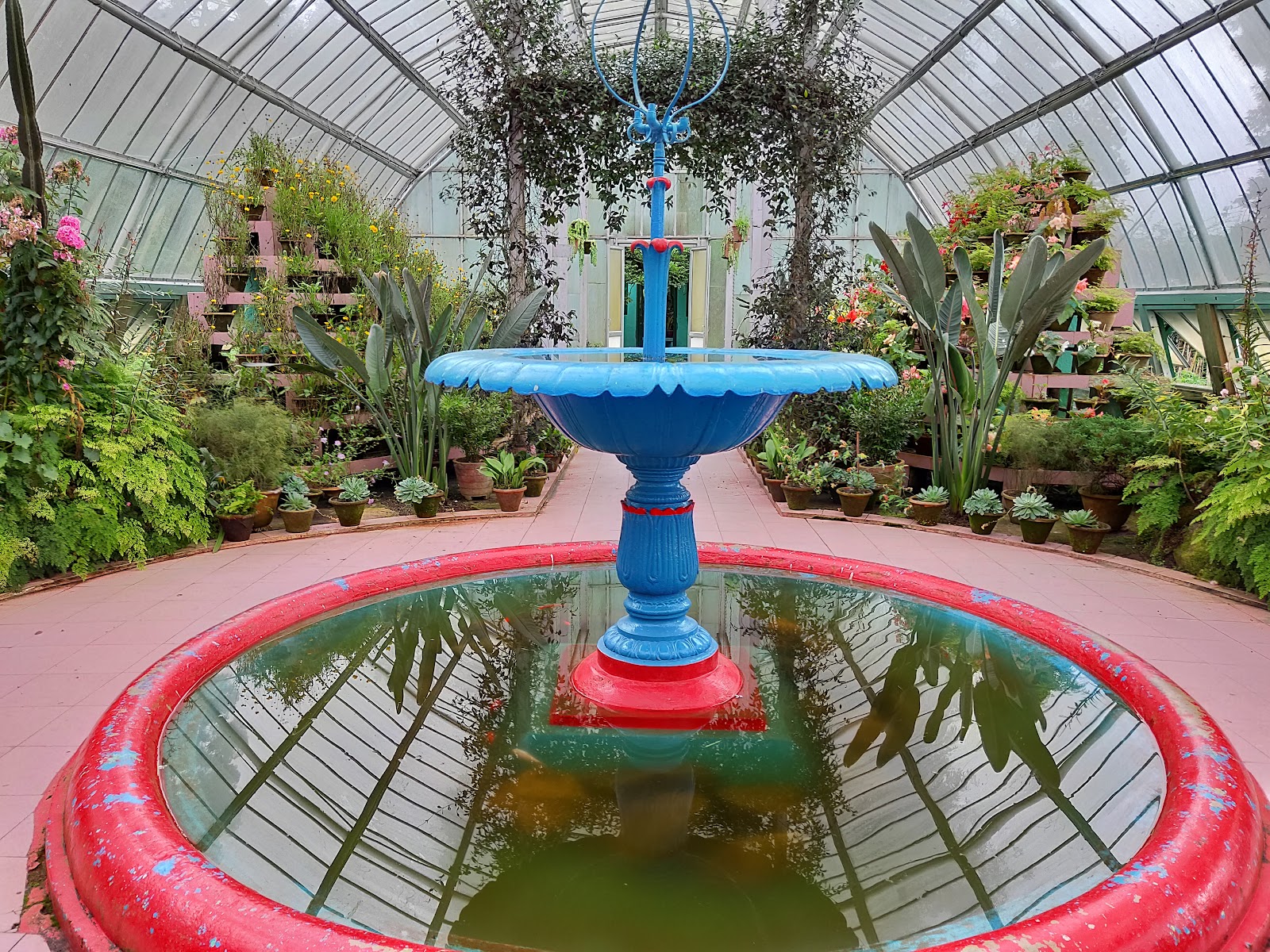 Lloyd Botanical Garden