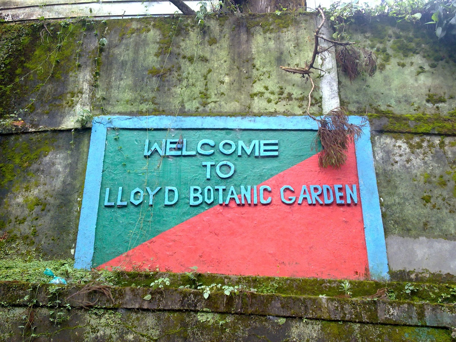 Lloyd Botanical Garden