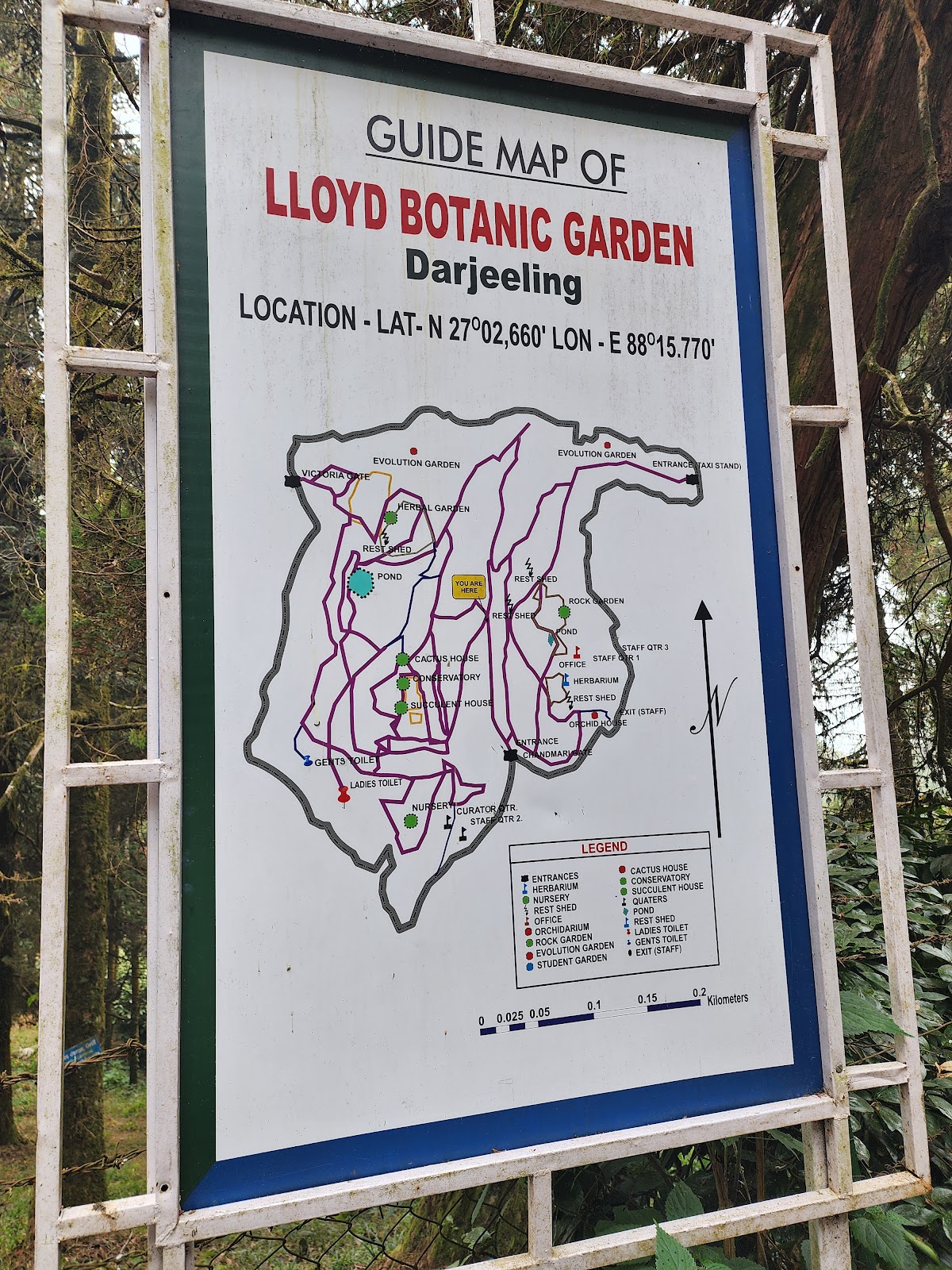 Lloyd Botanical Garden