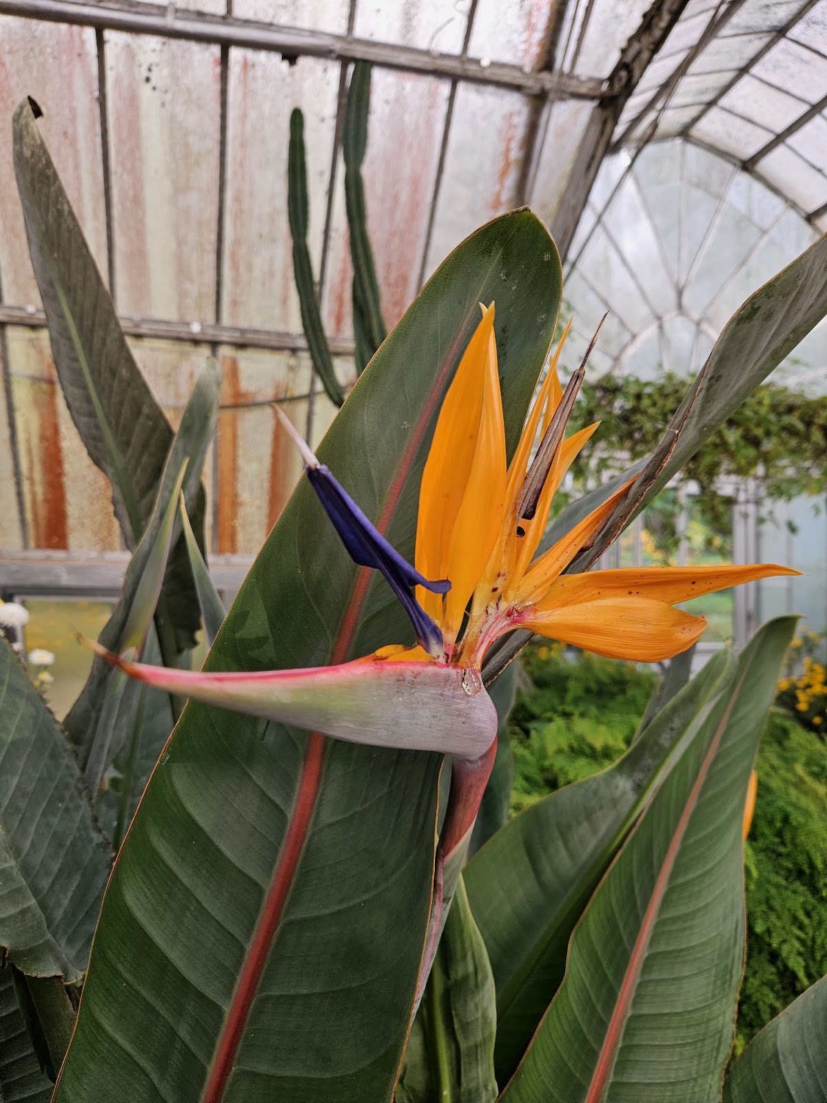 Lloyd Botanical Garden