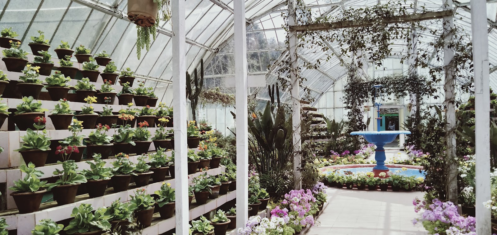 Lloyd Botanical Garden