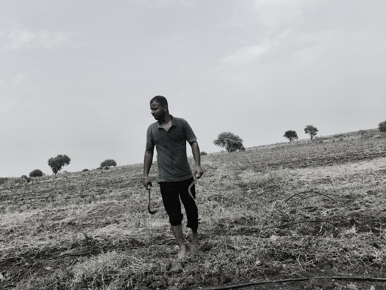 Agricultural Research Farm