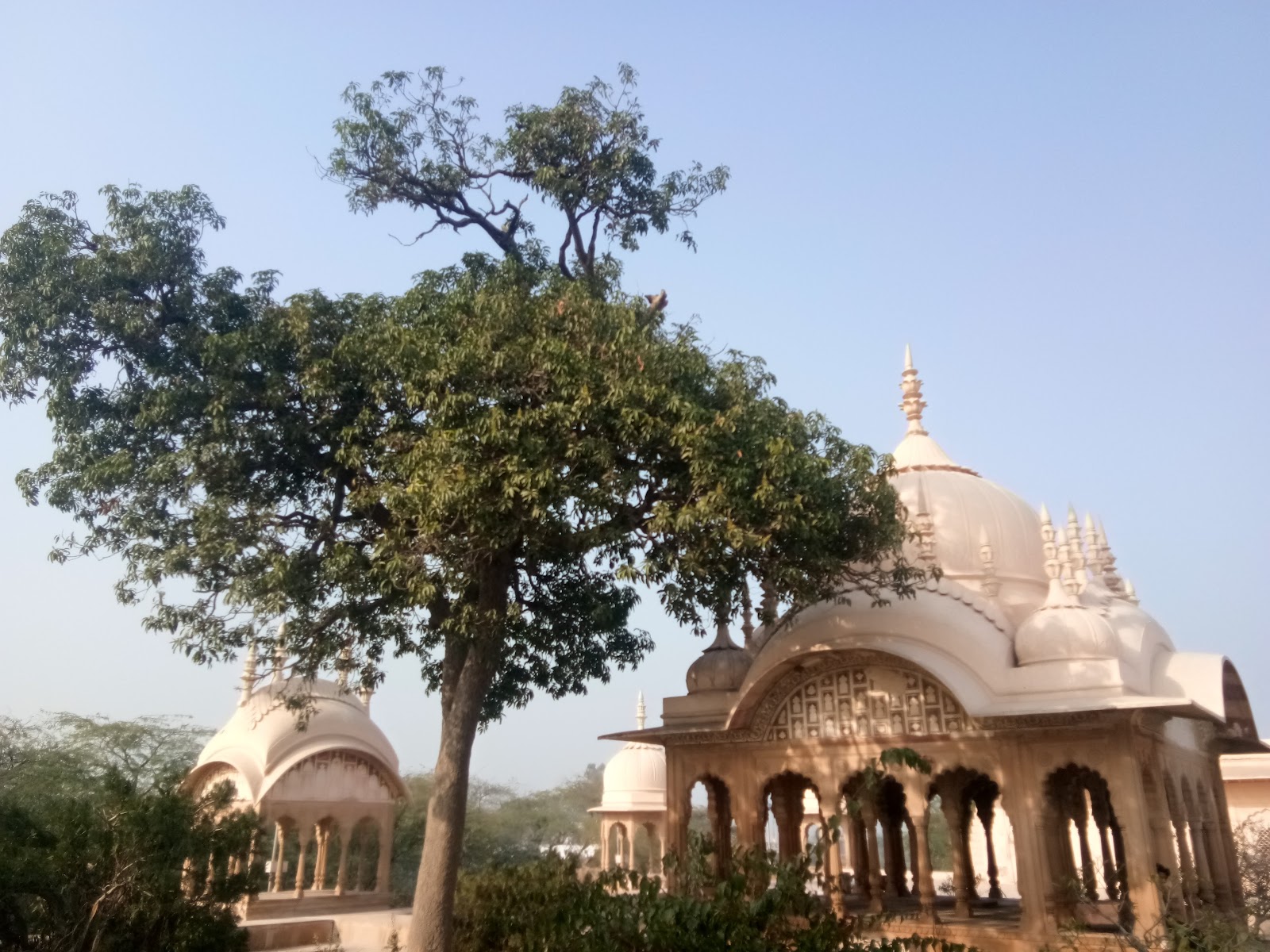 Chhatri of Raja Suraj Mal